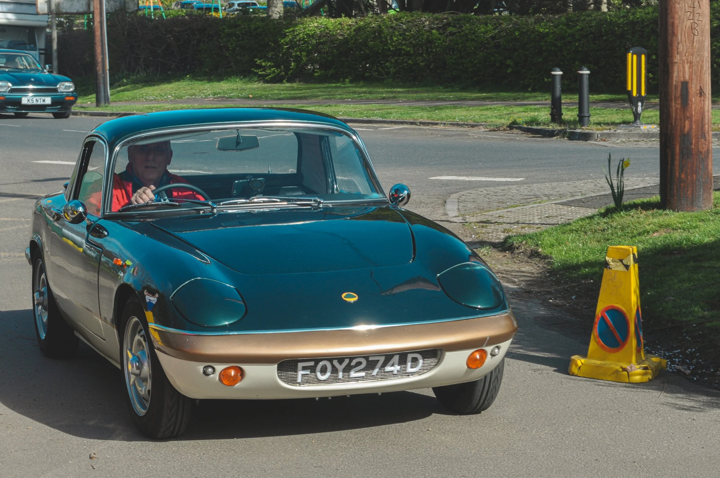 54432071780_68919e3d02_o copy.jpg