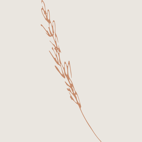 graphic of wheat stem
