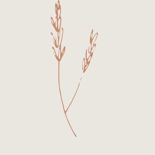 graphic icon of two wheat stems