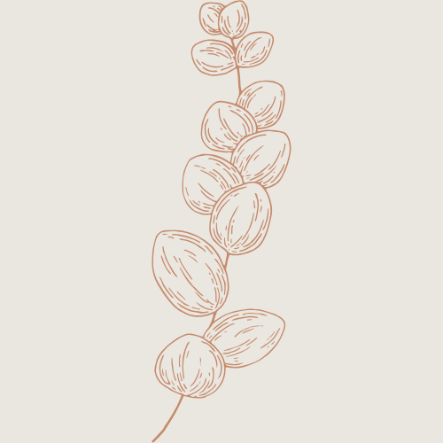 graphic icon of leafy plant stem