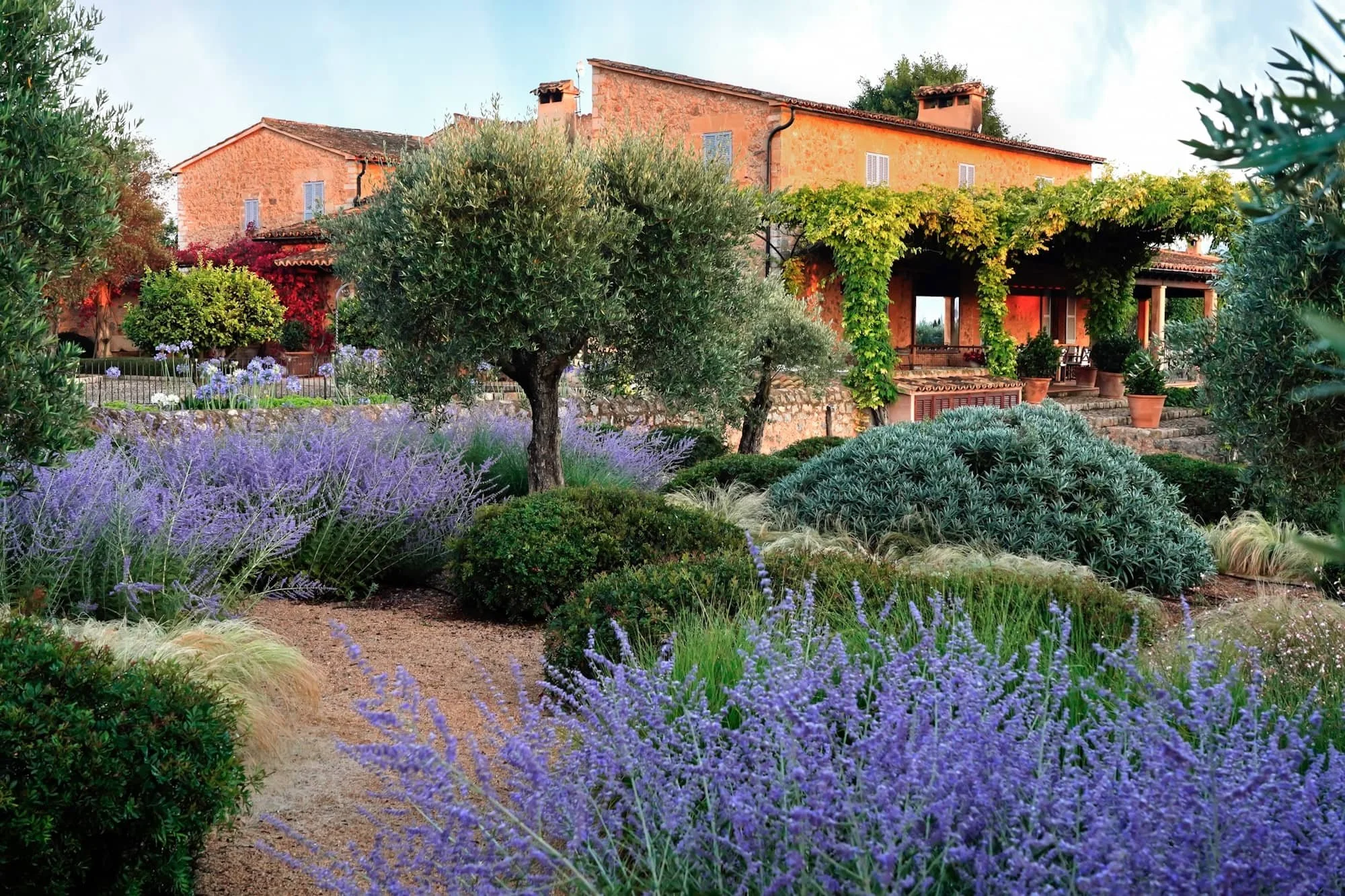 mashamba-evergreen-garden-design.jpg