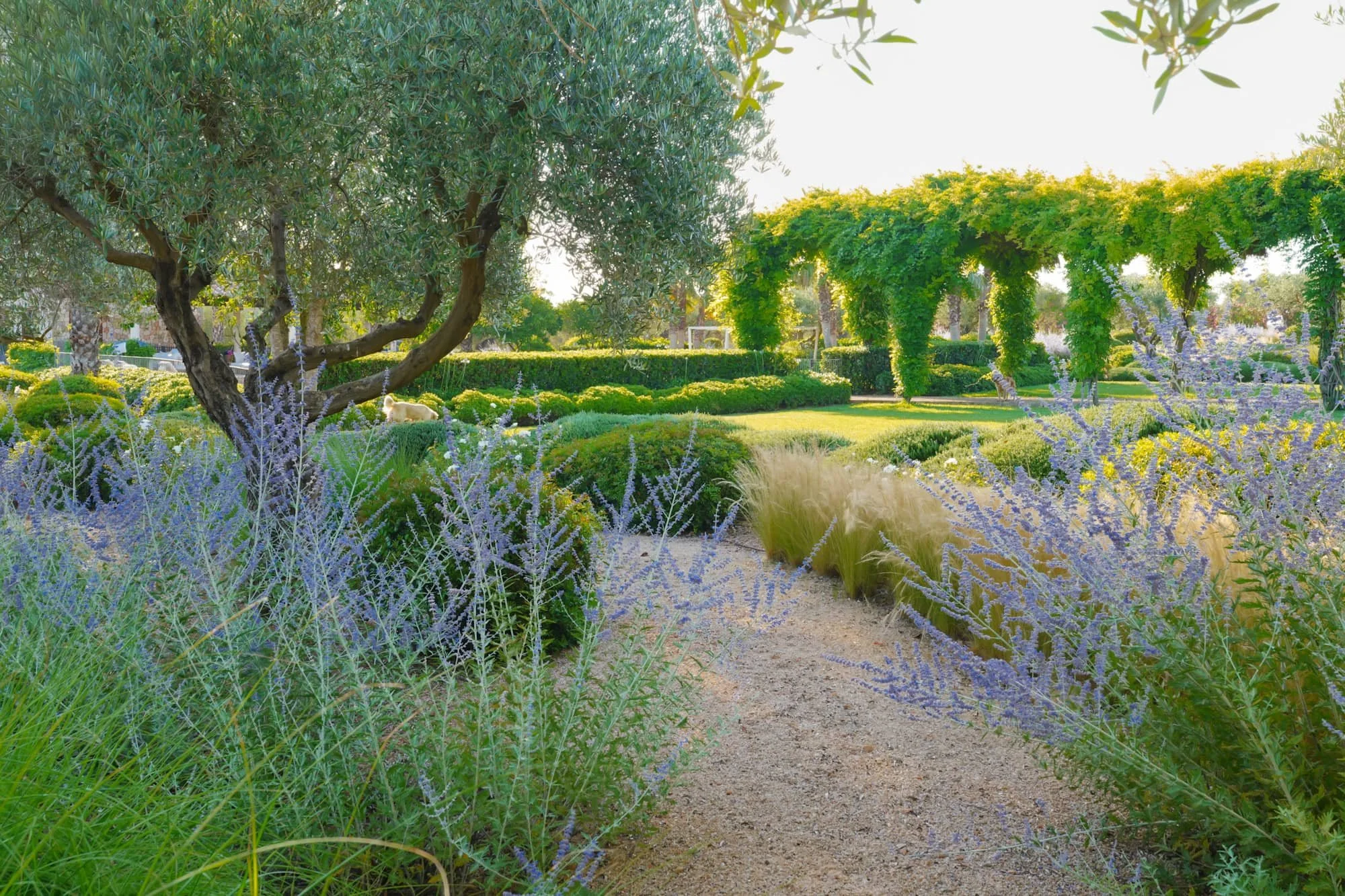 How Much Does a Garden Cost in Mallorca?