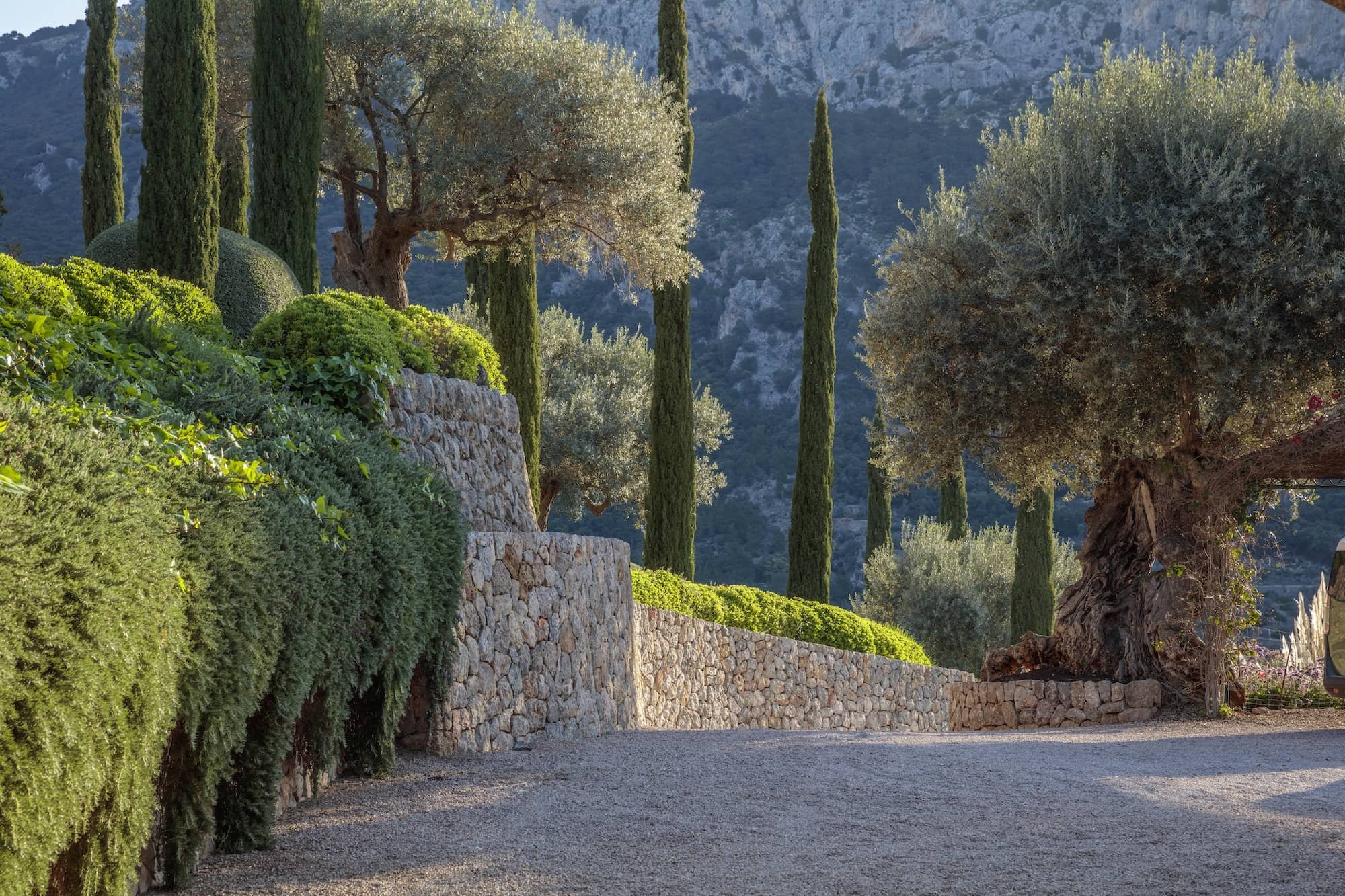 Cypress-lined driveway garden design at a Mallorca mountain finca