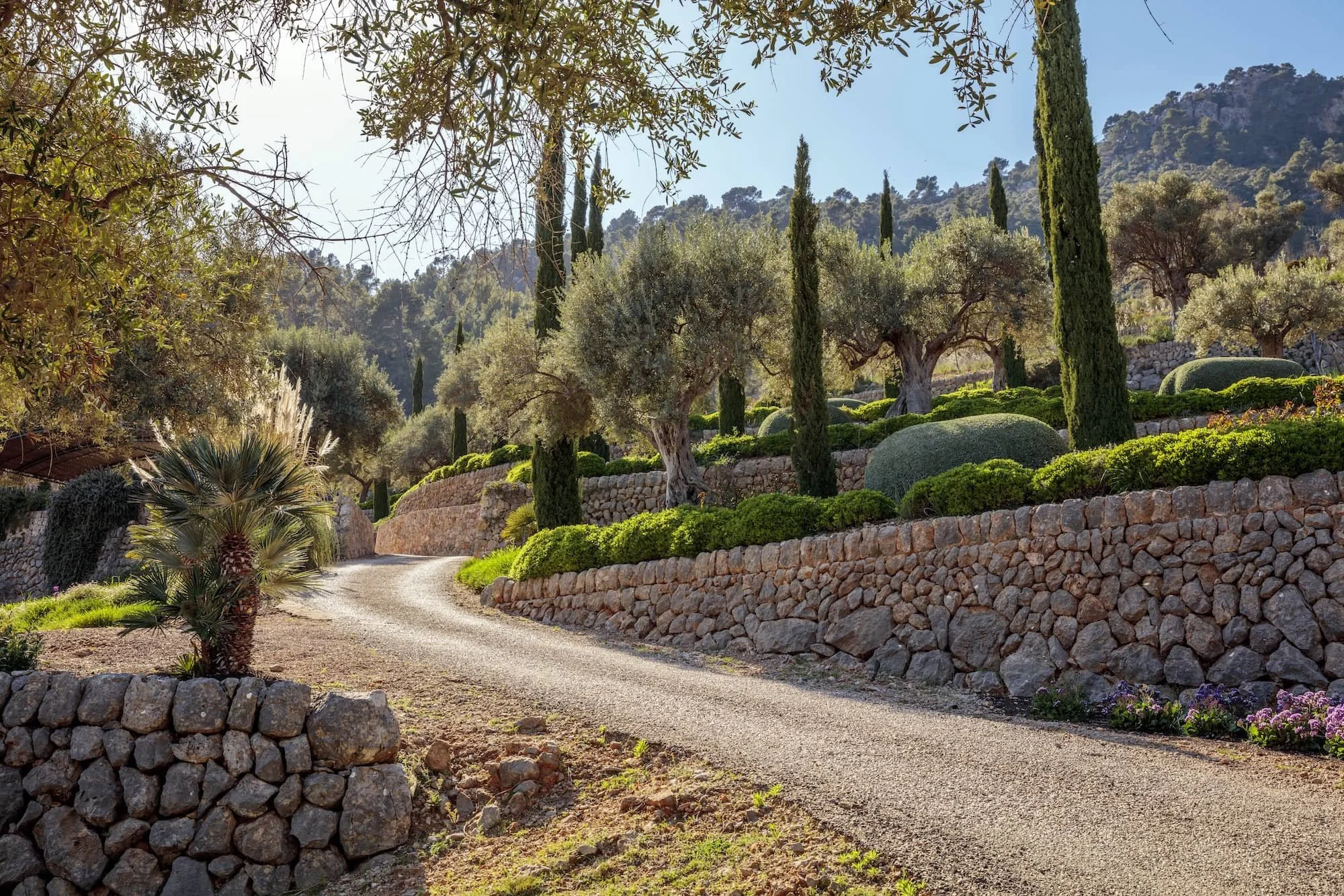 Structured terraced garden on a hillside finca, Tramuntana Mallorca