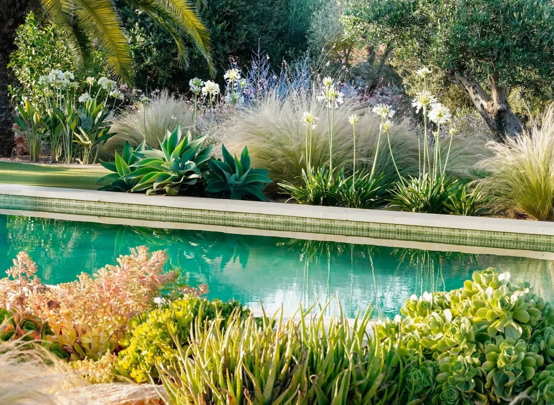 Poolside dry garden with agave and architectural succulents, Mallorca