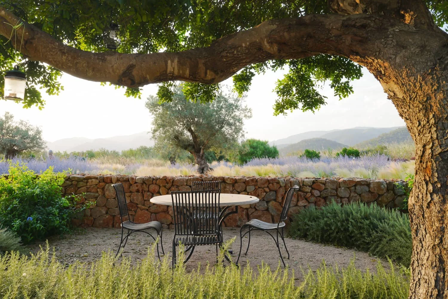outdoor-living-garden-mallorca.JPG