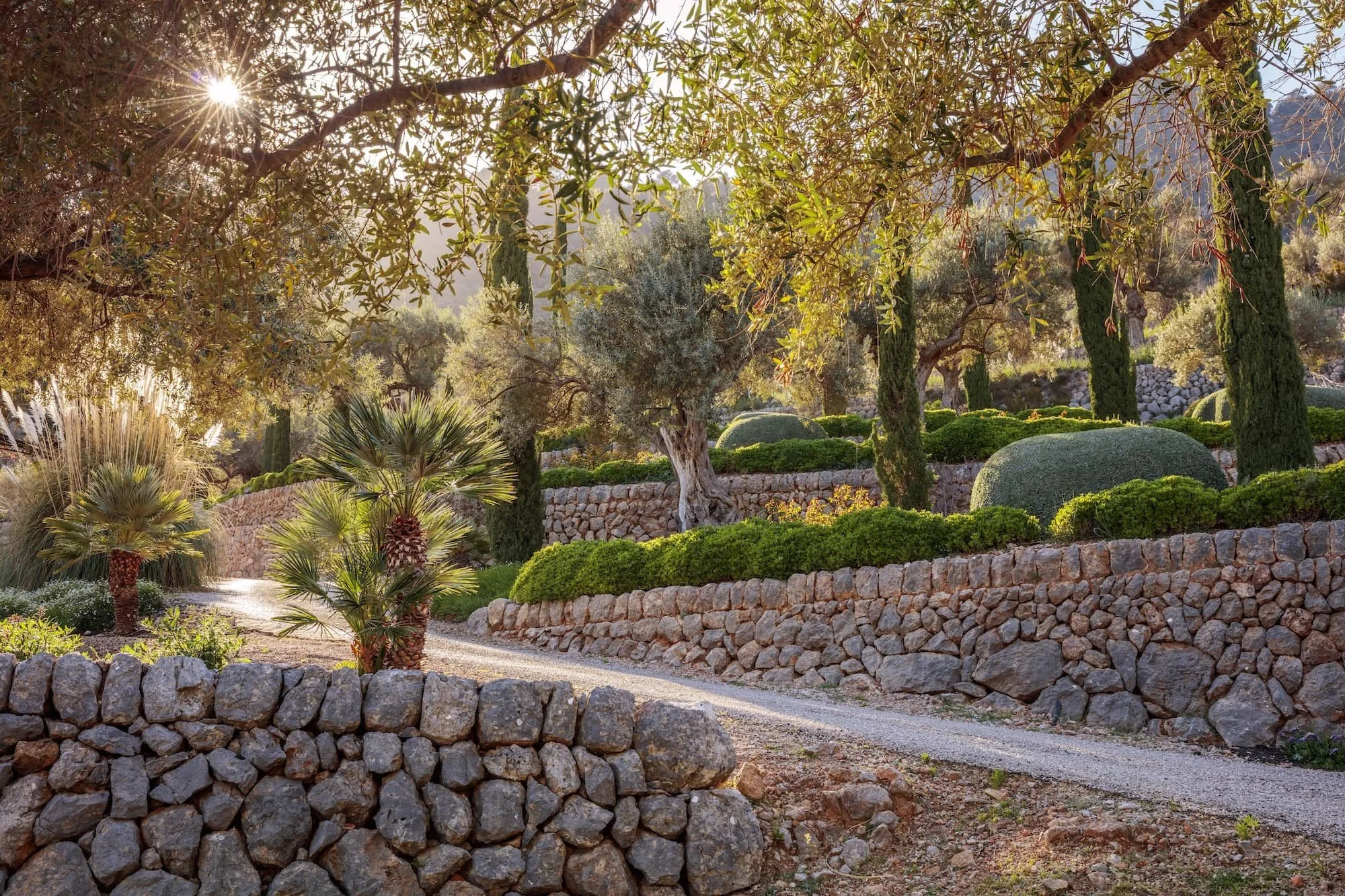 Rosemary spilling over a stone terrace — Mediterranean garden design Mallorca