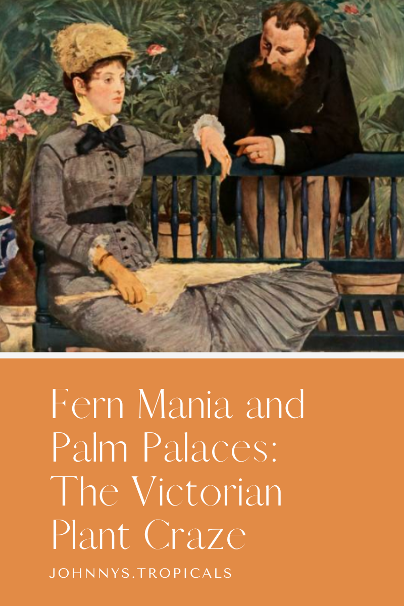 Fern Mania and Palm Palaces: The Victorian Plant Craze