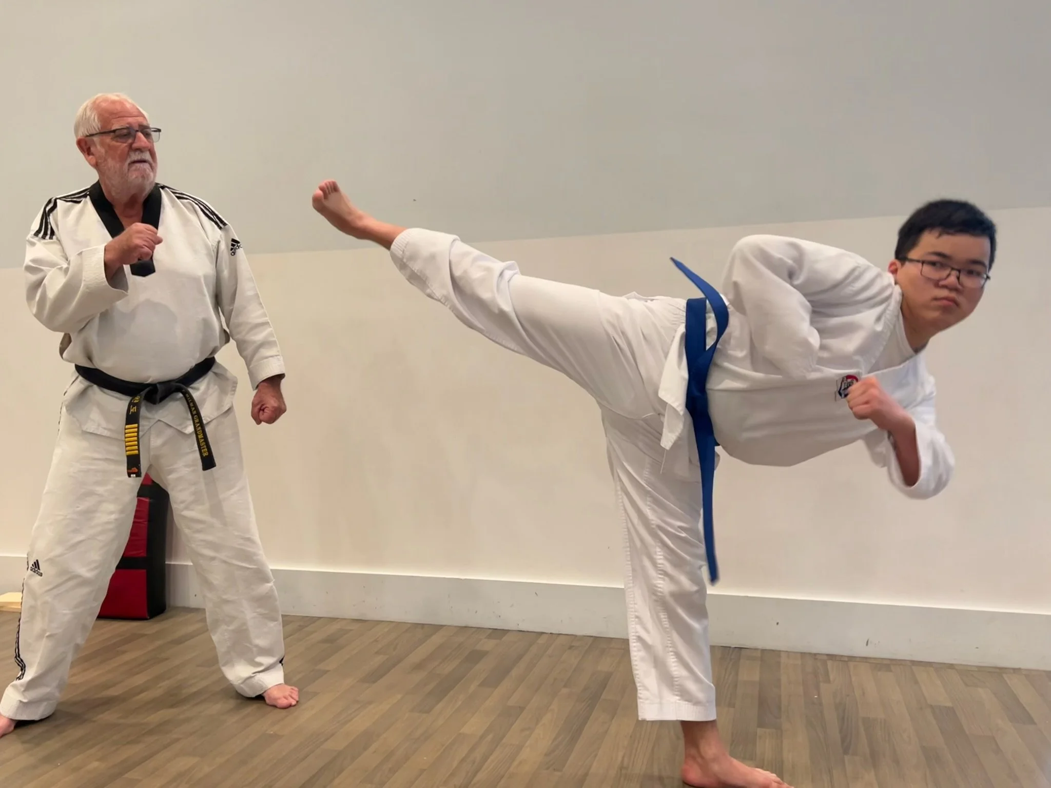 Blue Belt kicks toward Grandmaster Milman. 