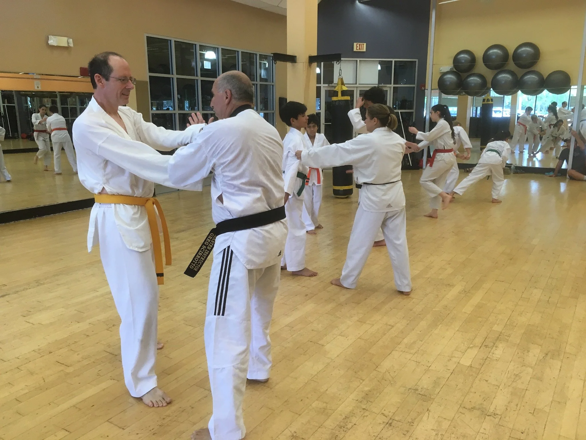Self defense taekwondo