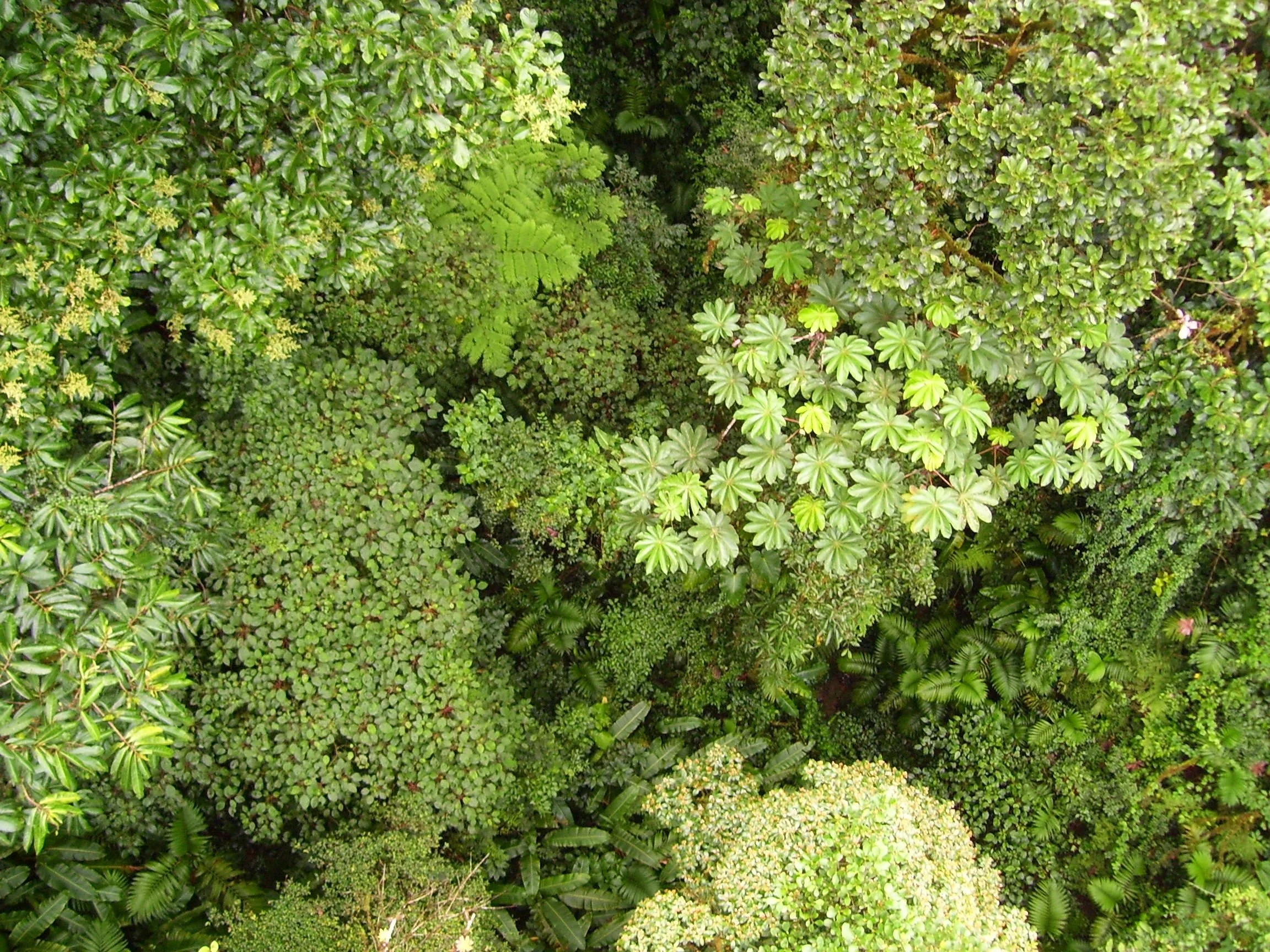 Title, digital photography, 2011