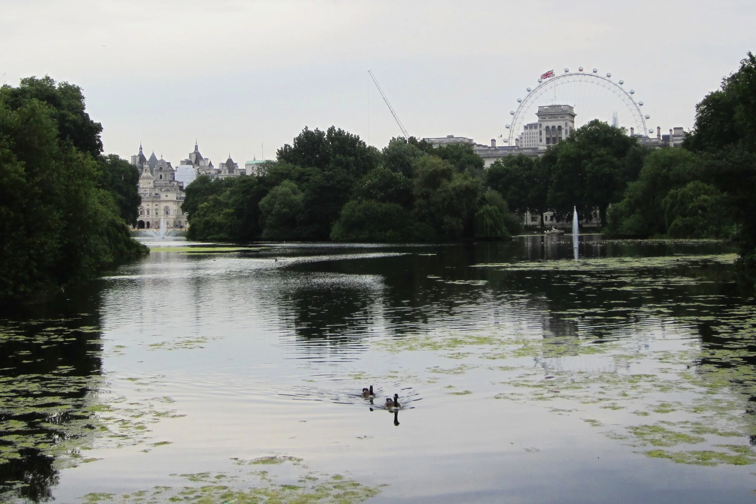 Title, digital photography, 2014