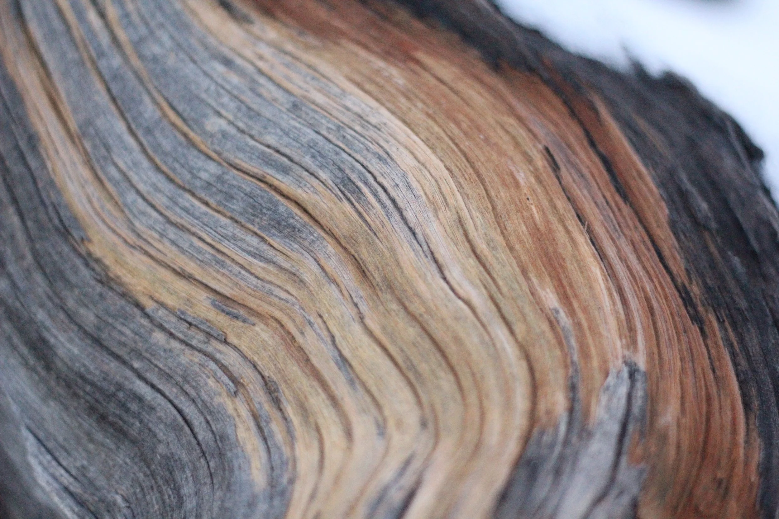 Title, digital photography, 2022