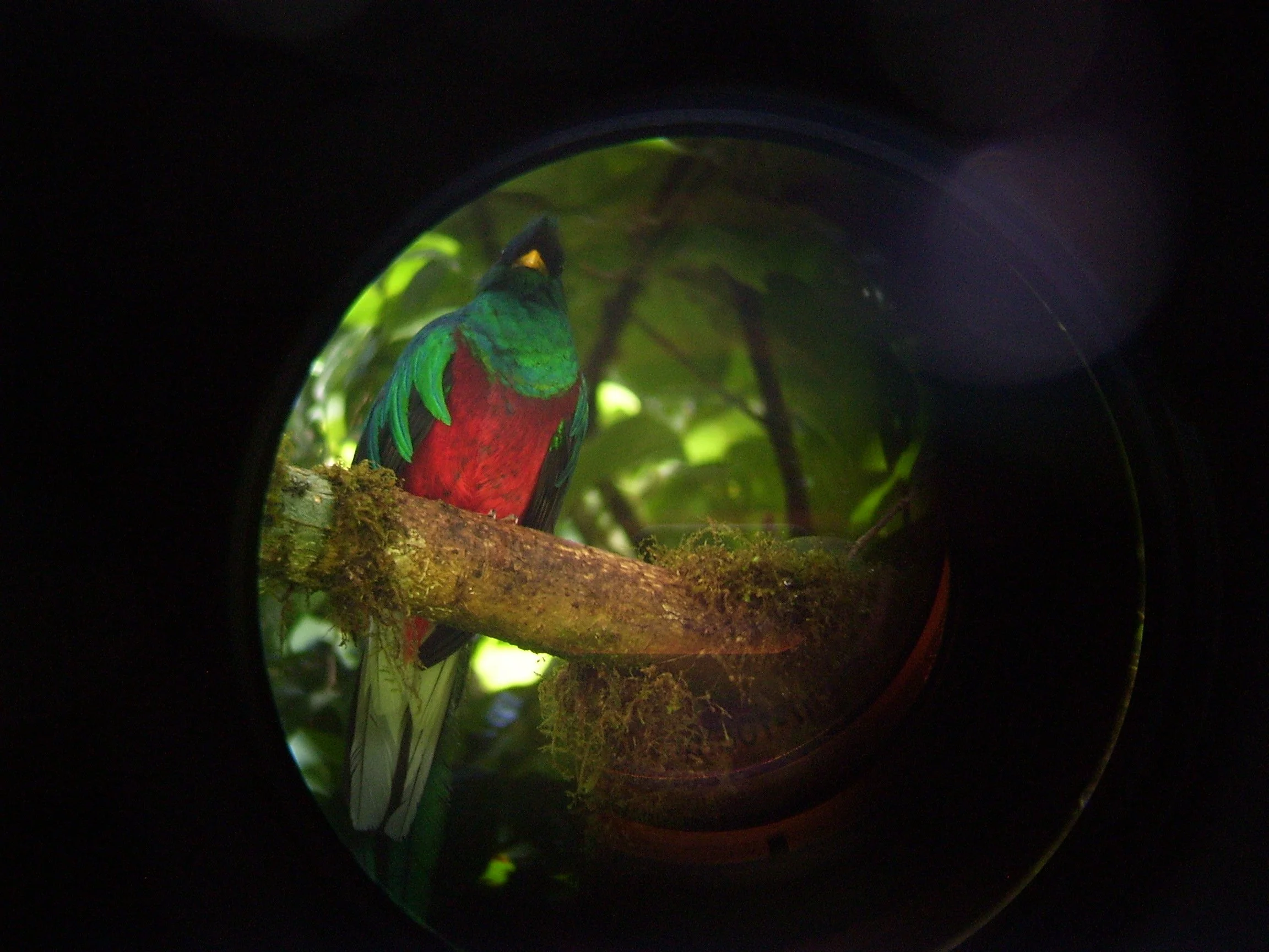 Title, digital photography, 2011