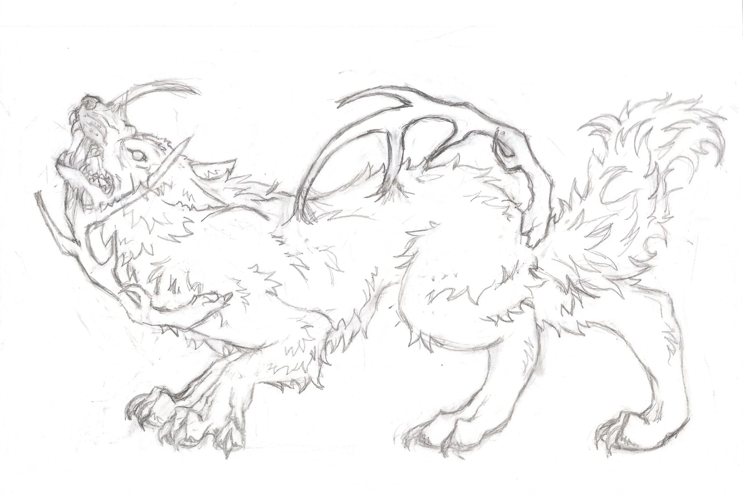 drawing 2 copy 1.jpg