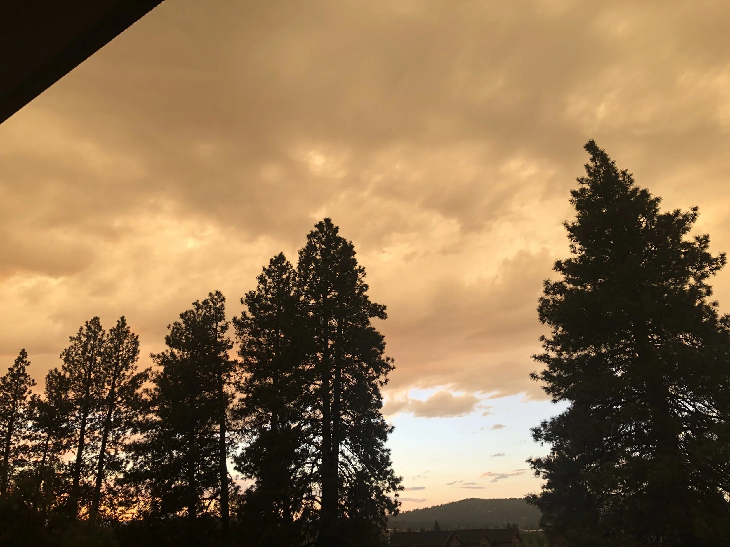 Title, digital photography, 2022