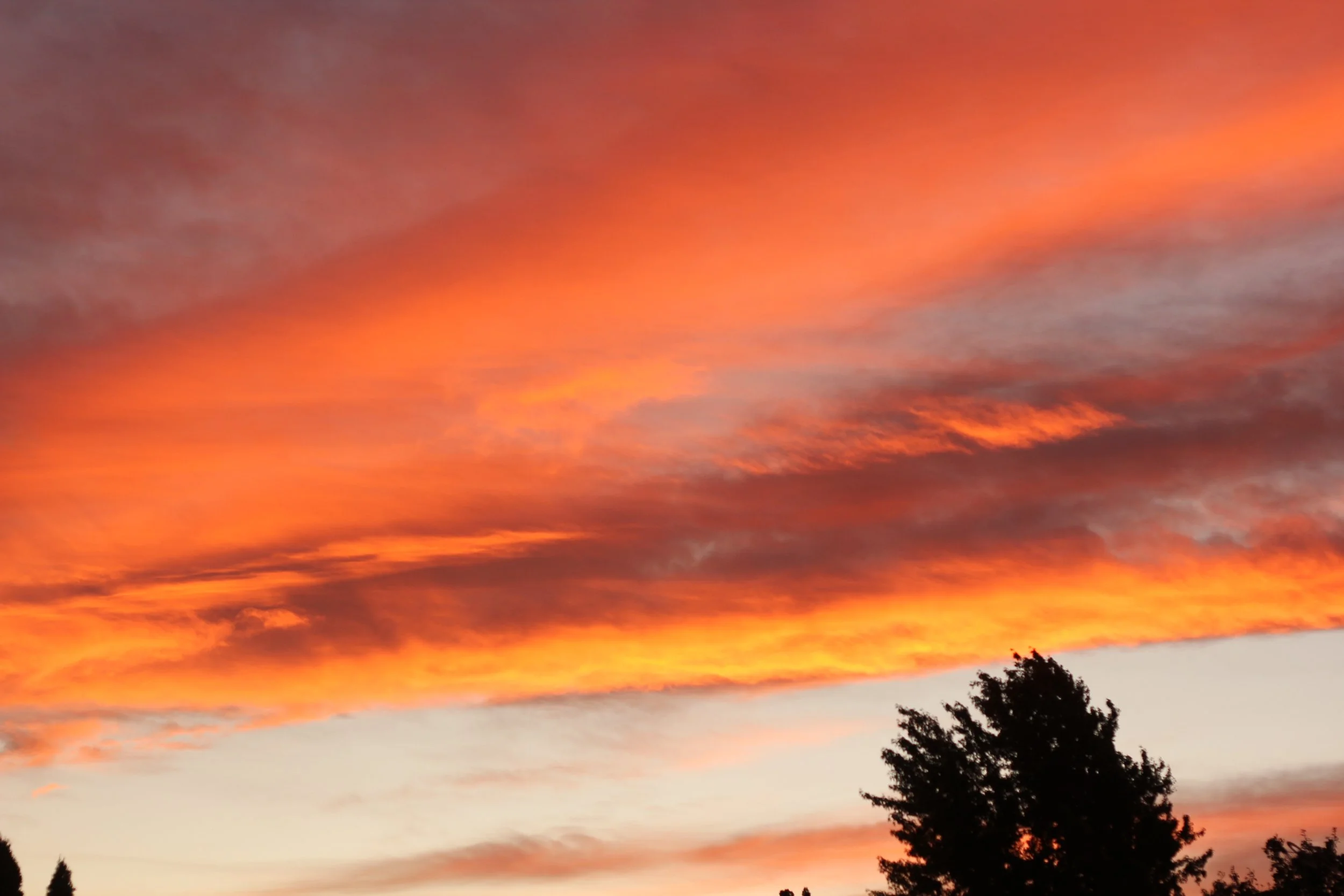 Title, digital photography, 2022