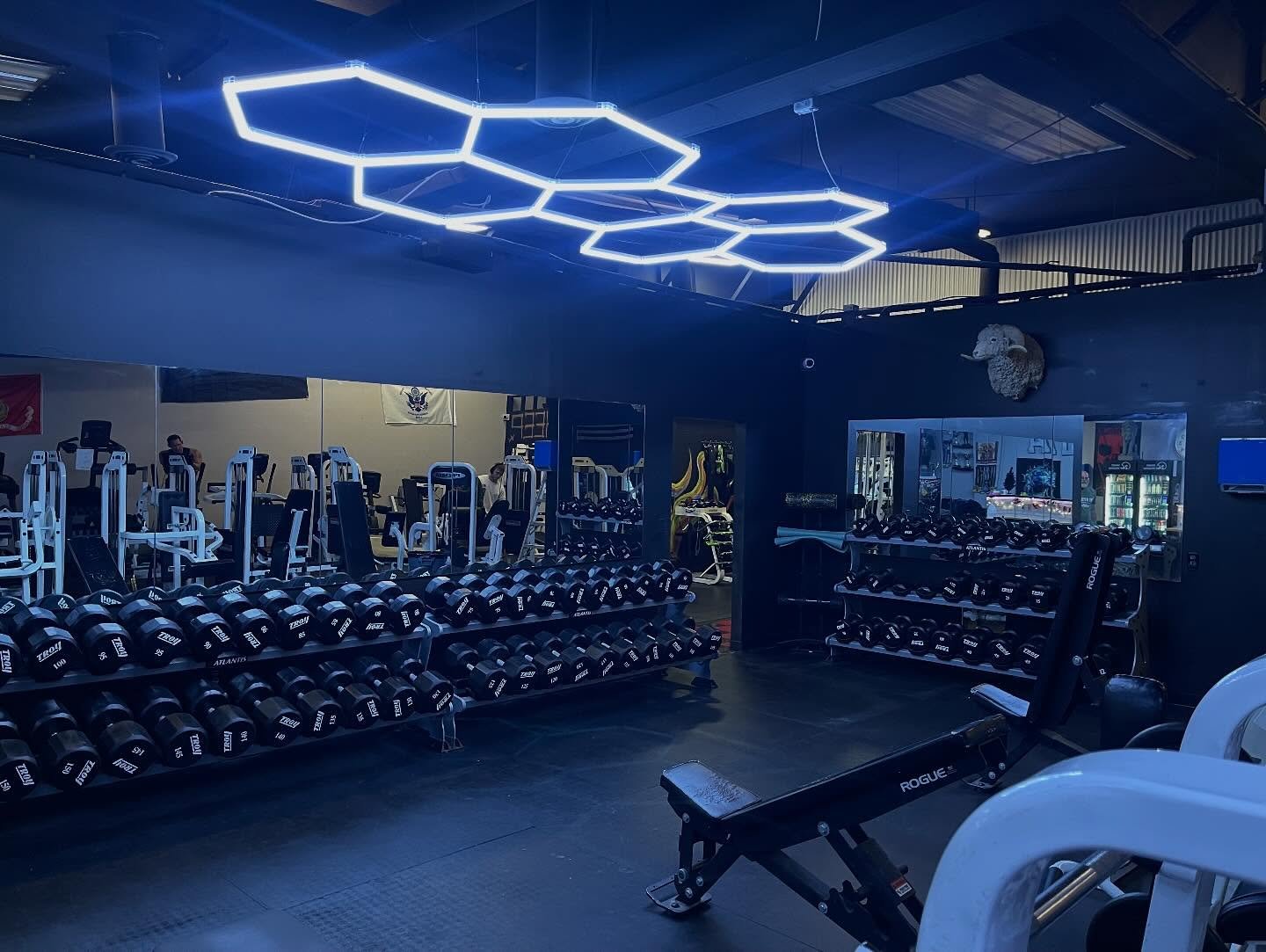 This week at Alpha was all about one thing: BLACKING. OUT. THE. GYM.
And let&rsquo;s just say&hellip; WE CRUSHED IT. 💪🖤

A massive shoutout and endless appreciation to Chris and his incredible wife for absolutely killing it on the paint job. They d