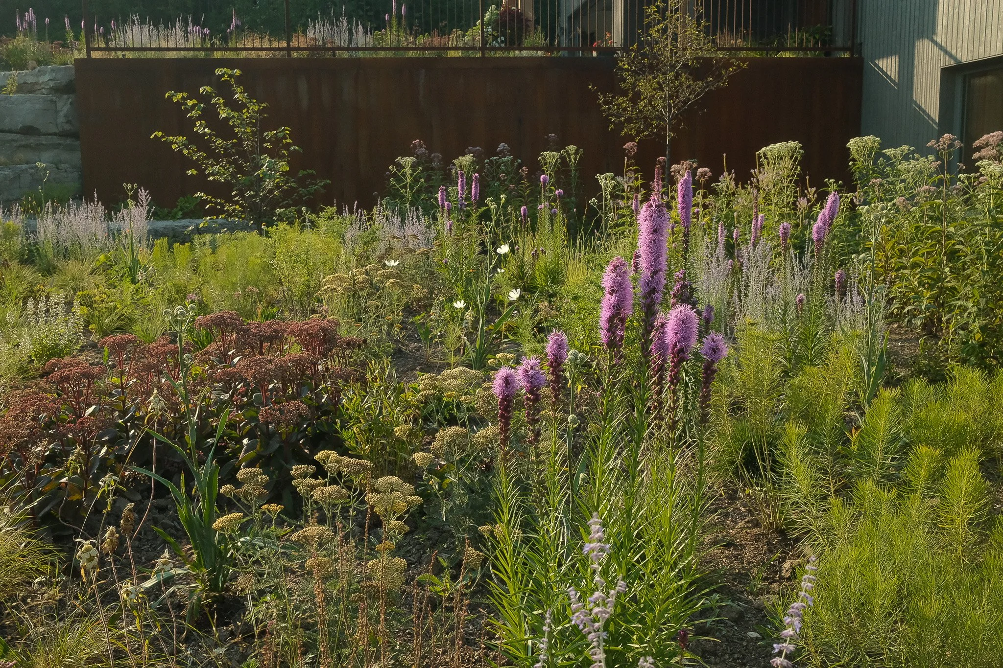 Hill House lower garden.jpg
