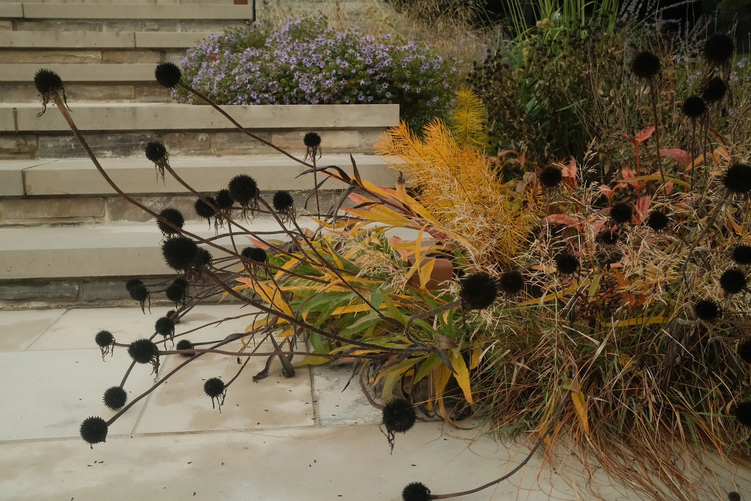 October vignette_resize.jpg