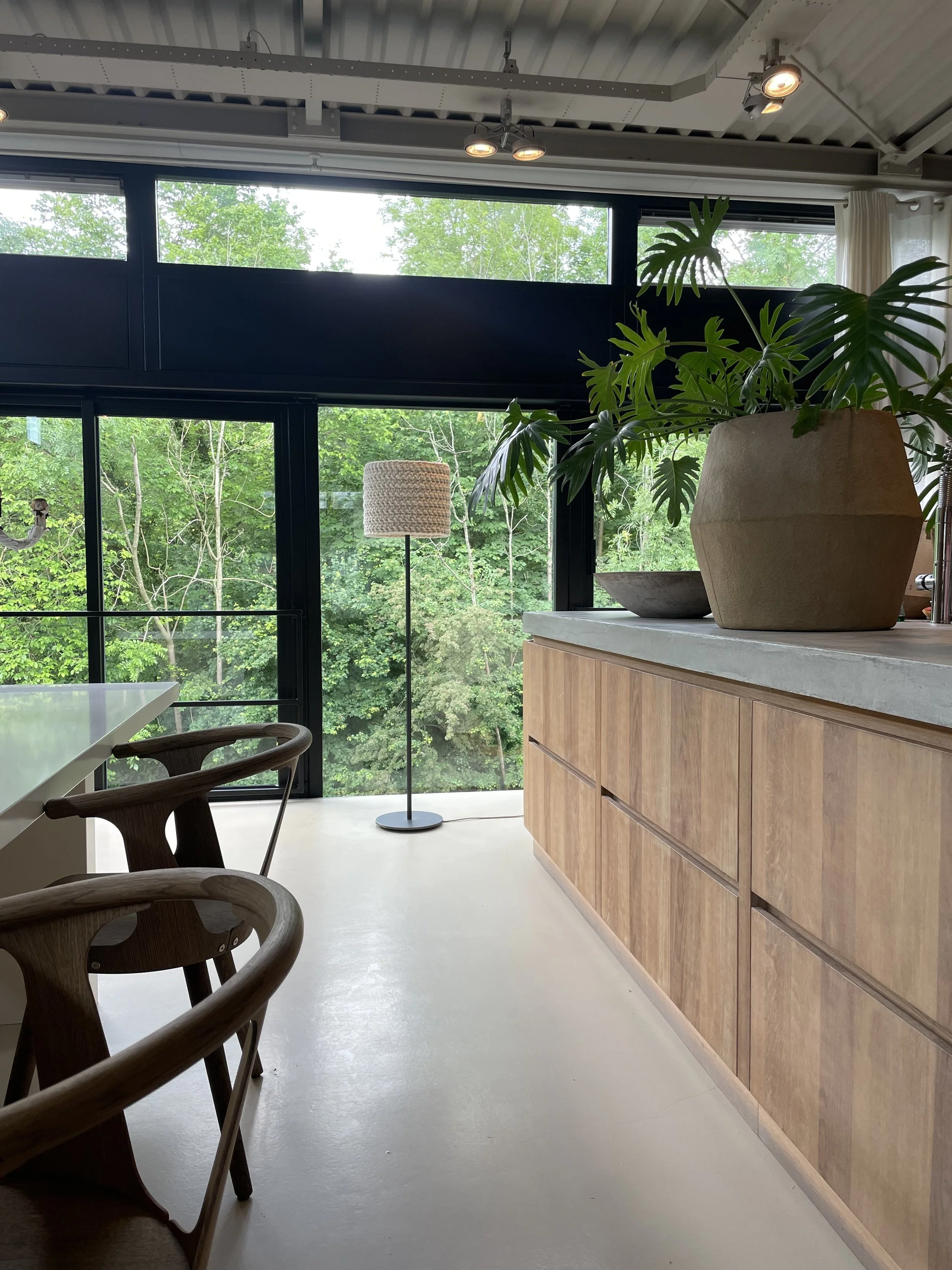 Interior of a modern room with large glass windows showing trees outside, wooden cabinetry, a potted plant, and a standing floor lamp.