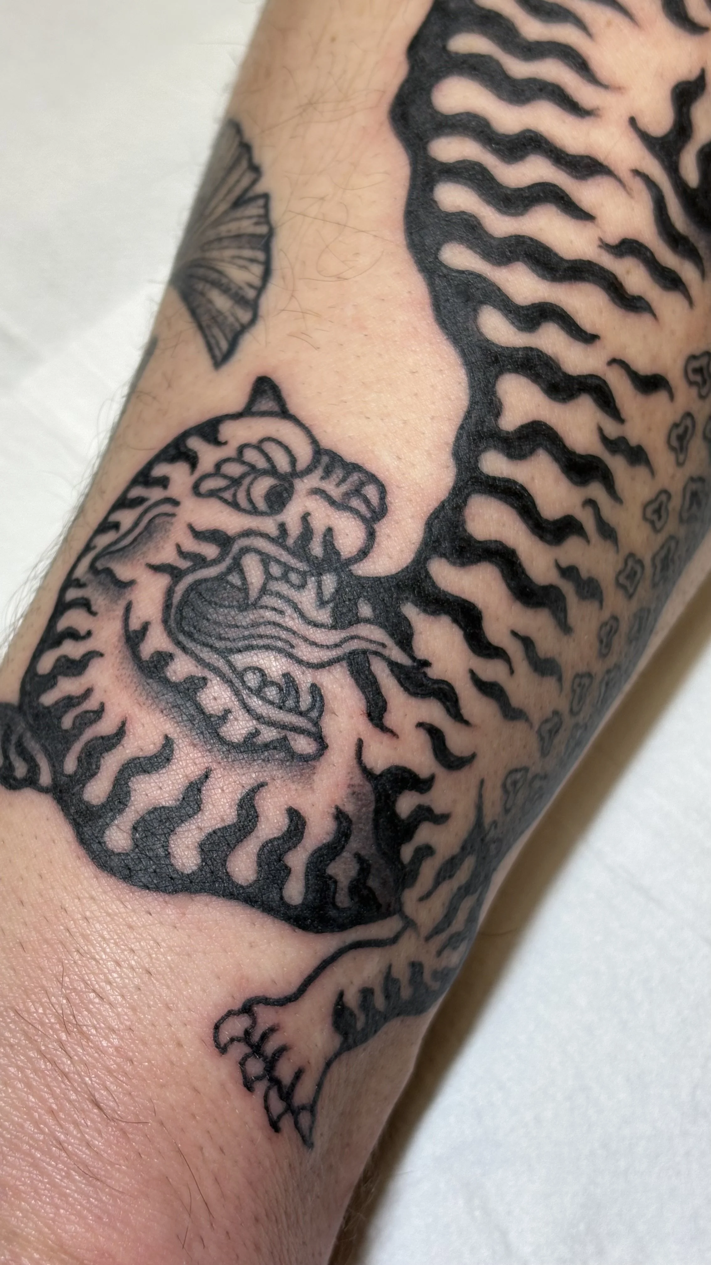 tijger tattoo, onderarm tattoo, blackwork, illustratief, tribal