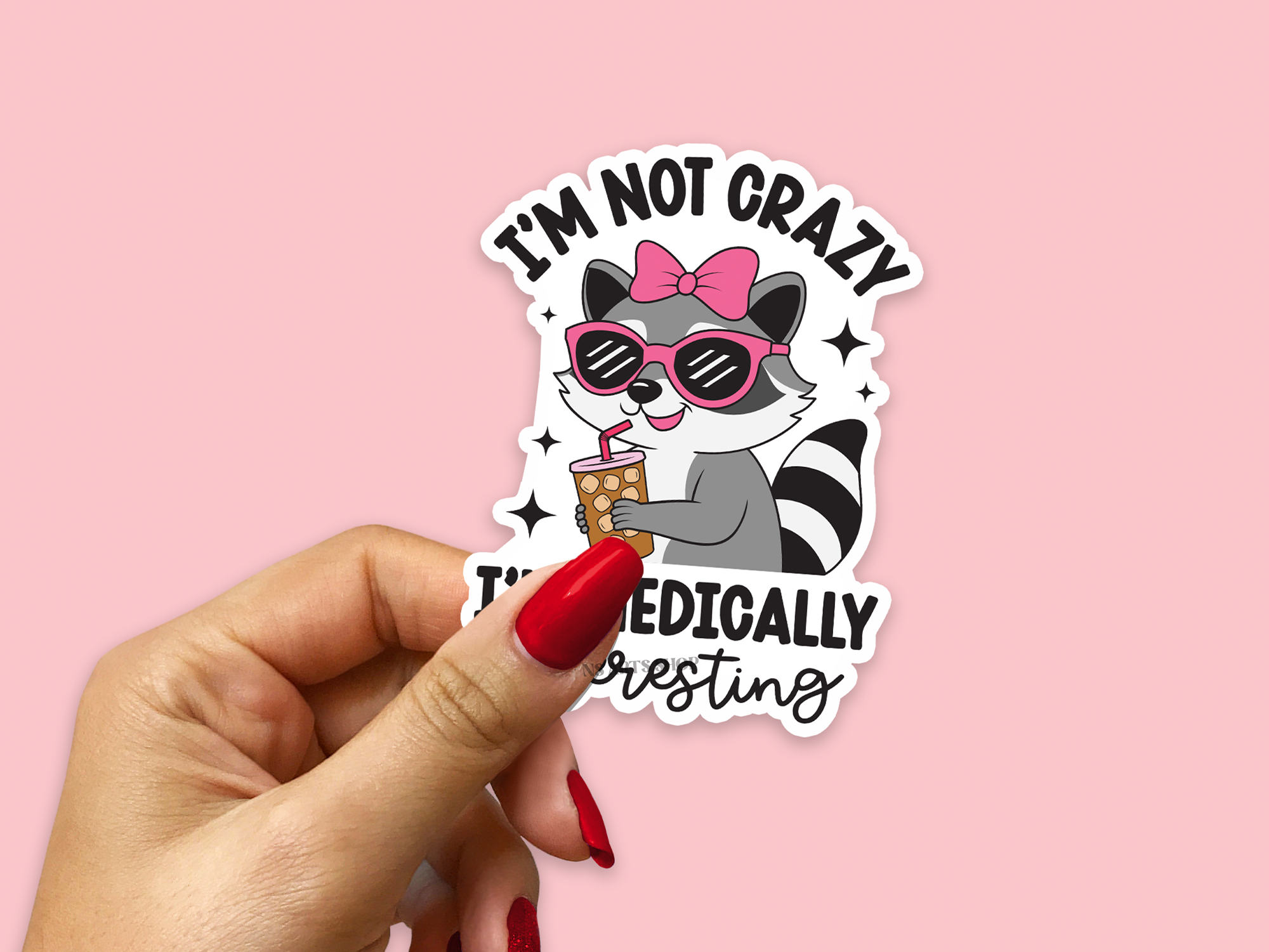 racoon-png-printable.png