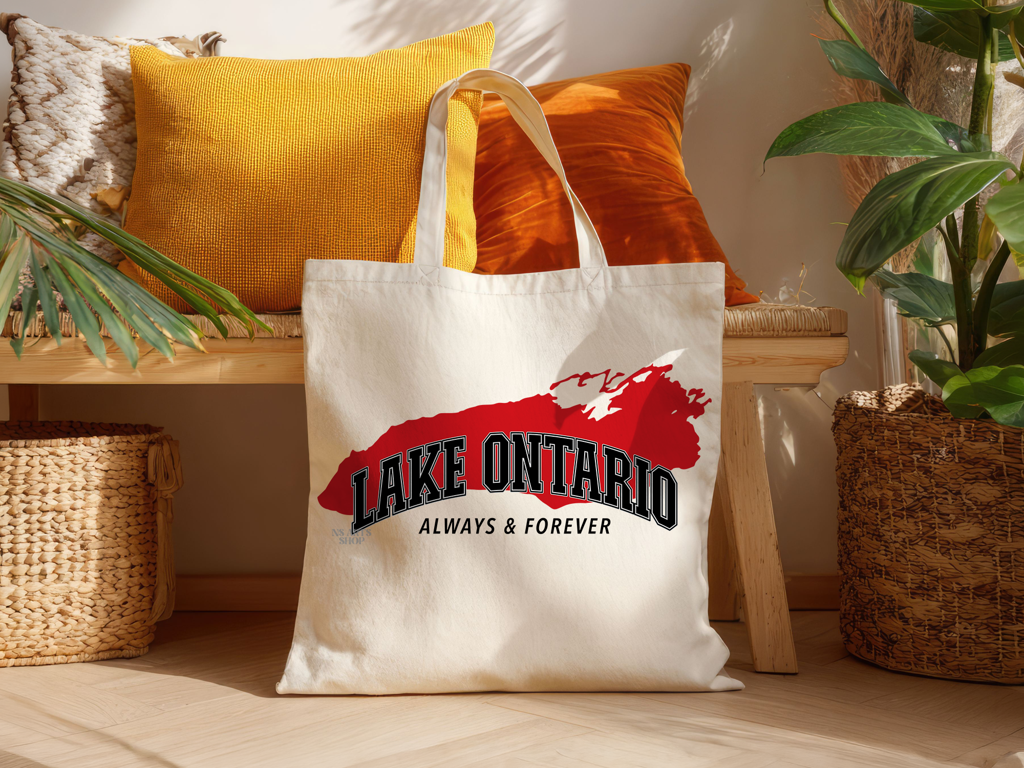lake-ontario-png.png