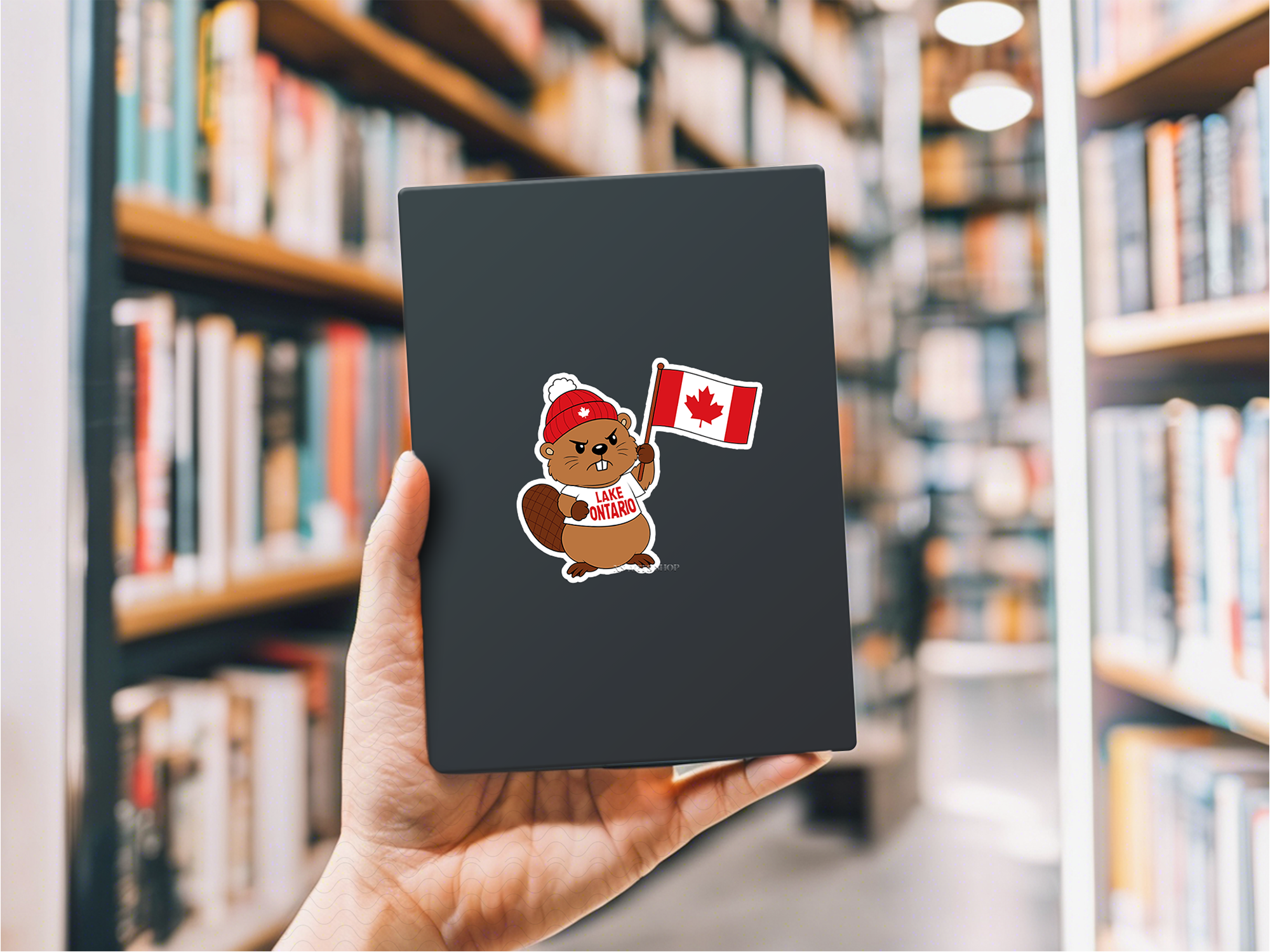 lake-ontario-beaver-png-svg-design.png