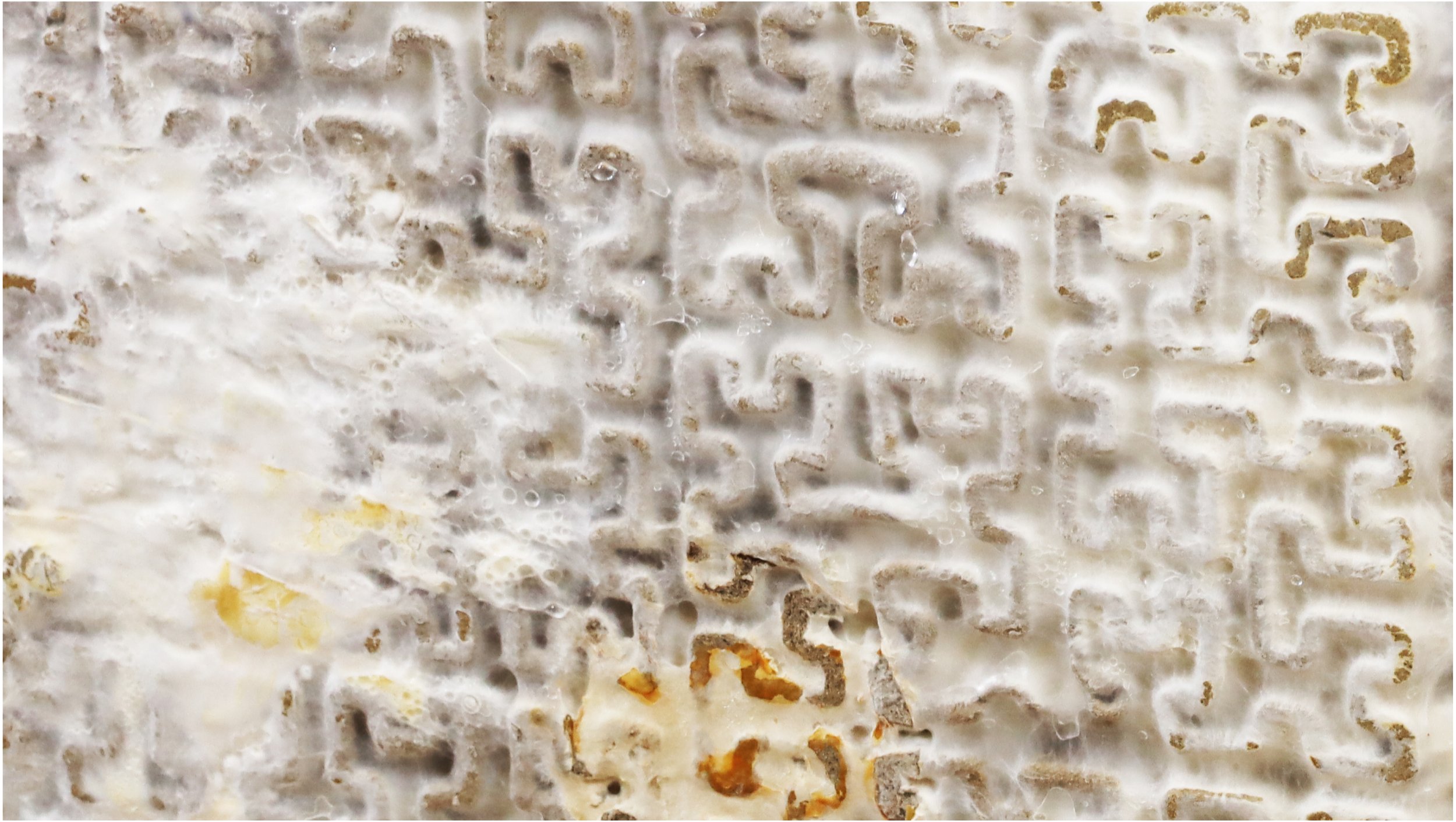 ToolpathERI_Template_Fig 2b.jpg