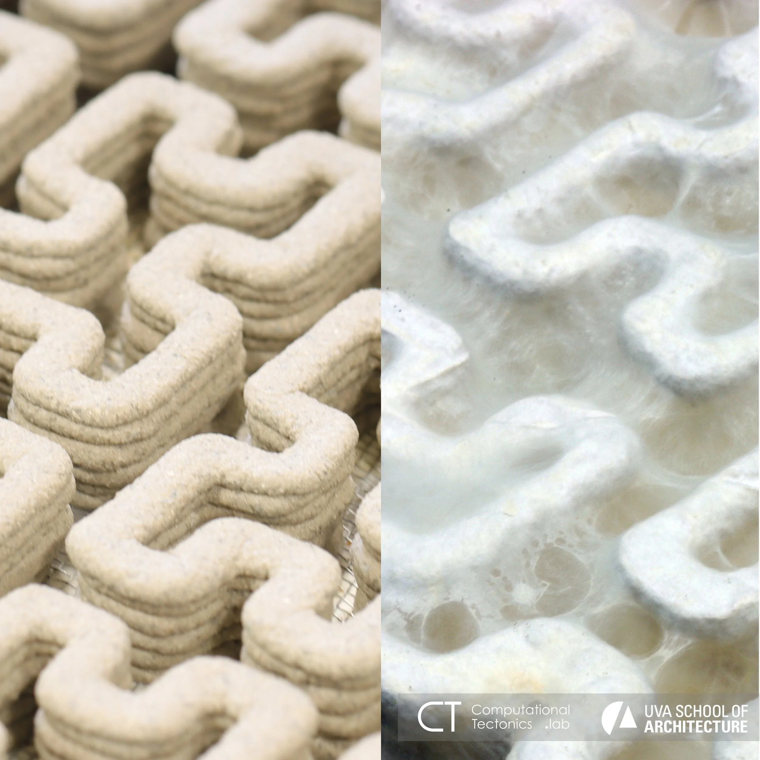 Toolpath Informed Biofabrication