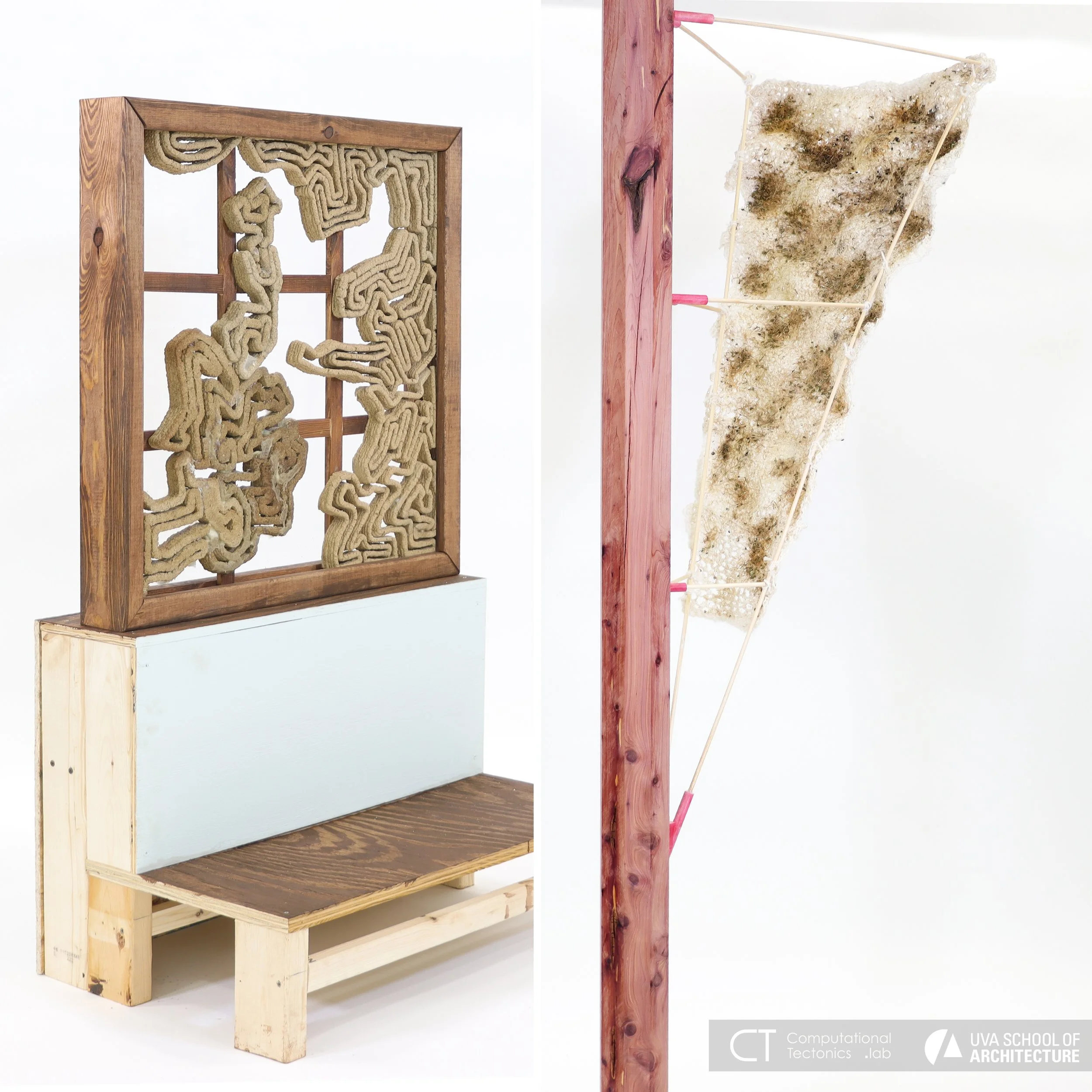 LIVING LAYERS (Annie Durden and Logan Lindstrom) | ROOTED CANOPY (Dasani Madipalli)