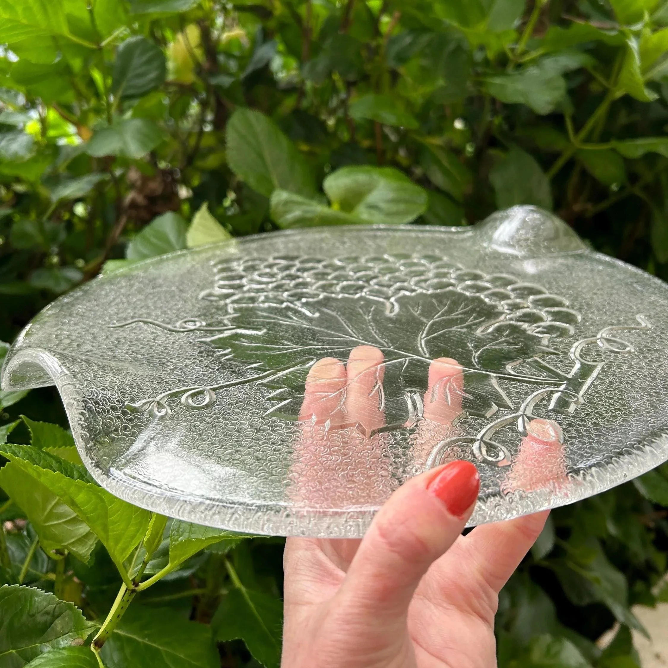 Side angle showing gentle curve and rim profile of the platter