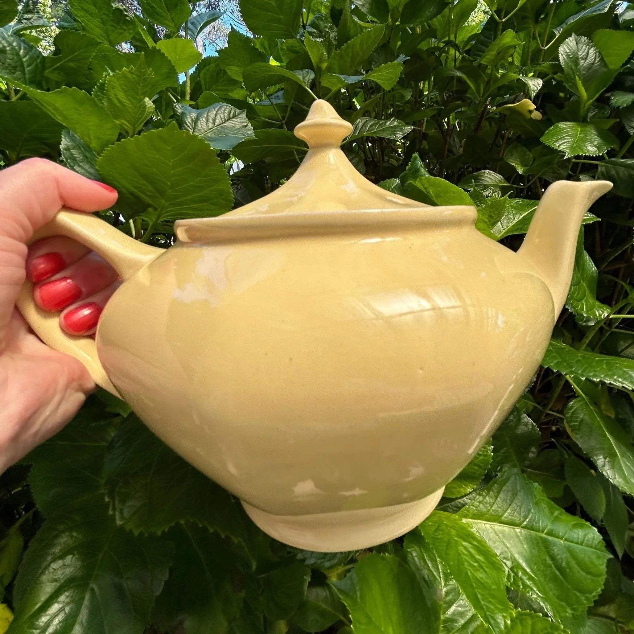 Side profile of teapot held against garden greenery