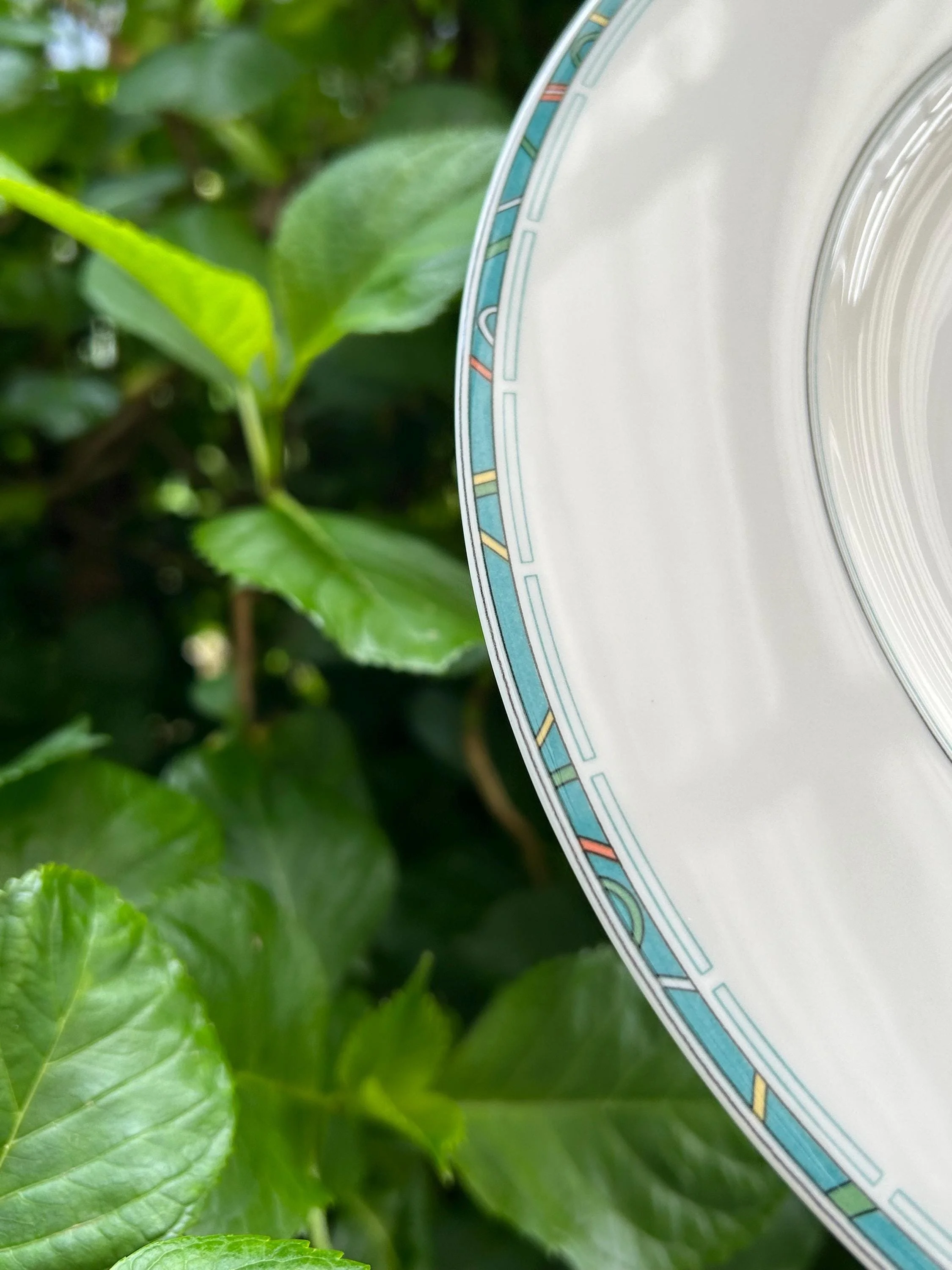 Edge view with plate framed by garden greenery