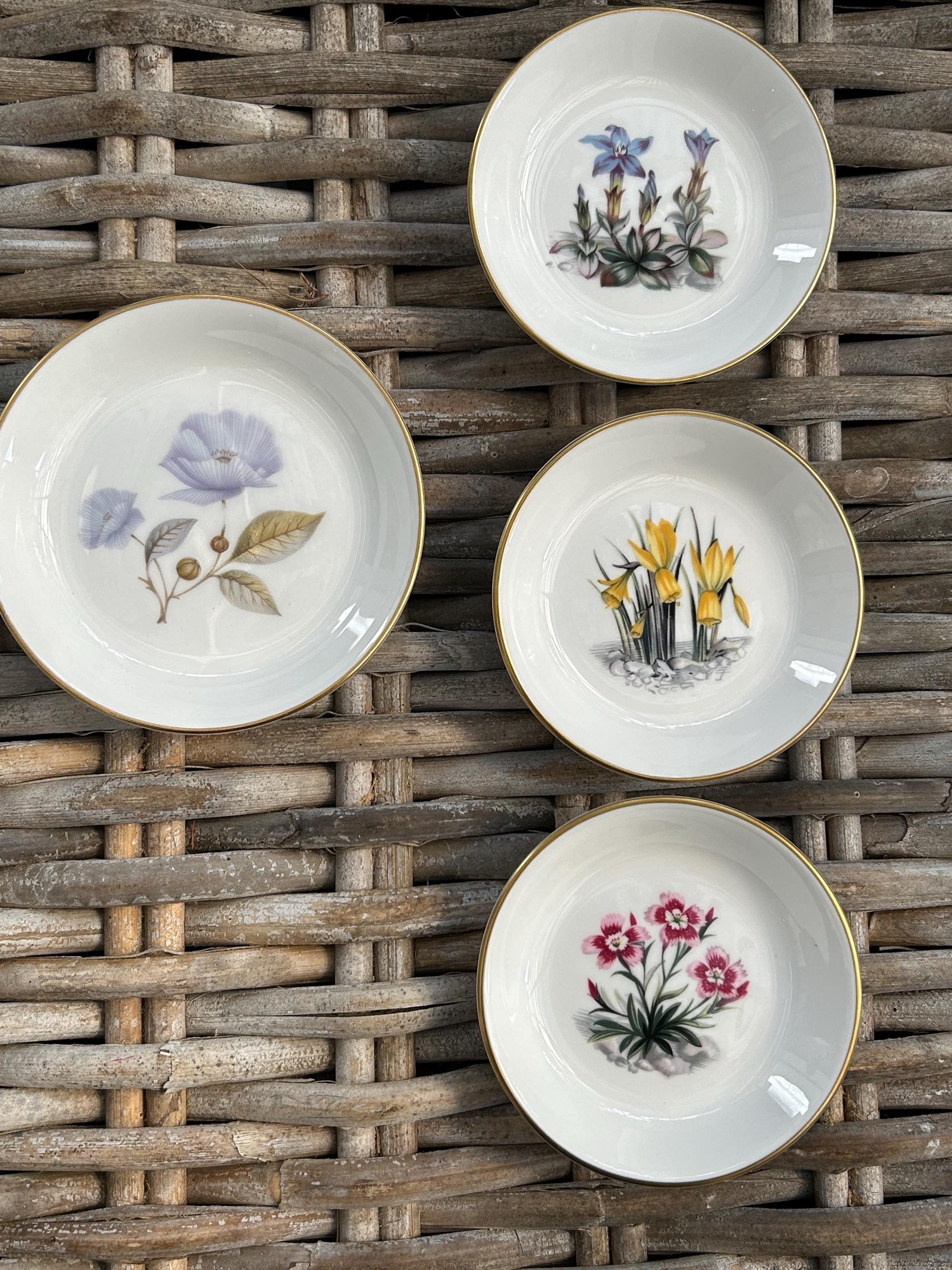 Final overview of all four dishes grouped together, showing size differences and colour variety