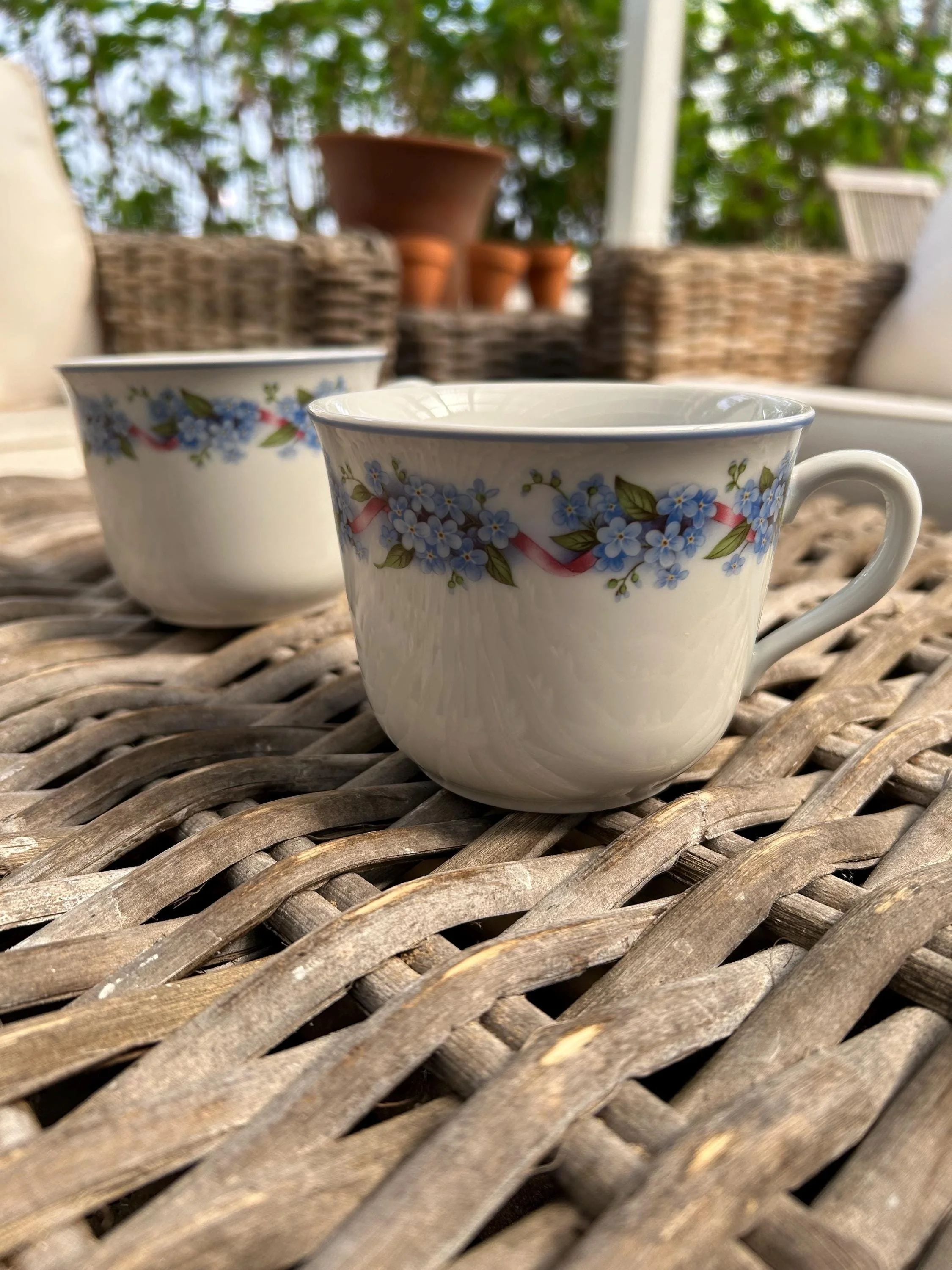 Set of 2 vintage Bareuther Bavaria tea cups with hand-painted forget-me-nots. Made in West Germany. Elegant floral design, ideal for collectors or tea lovers.