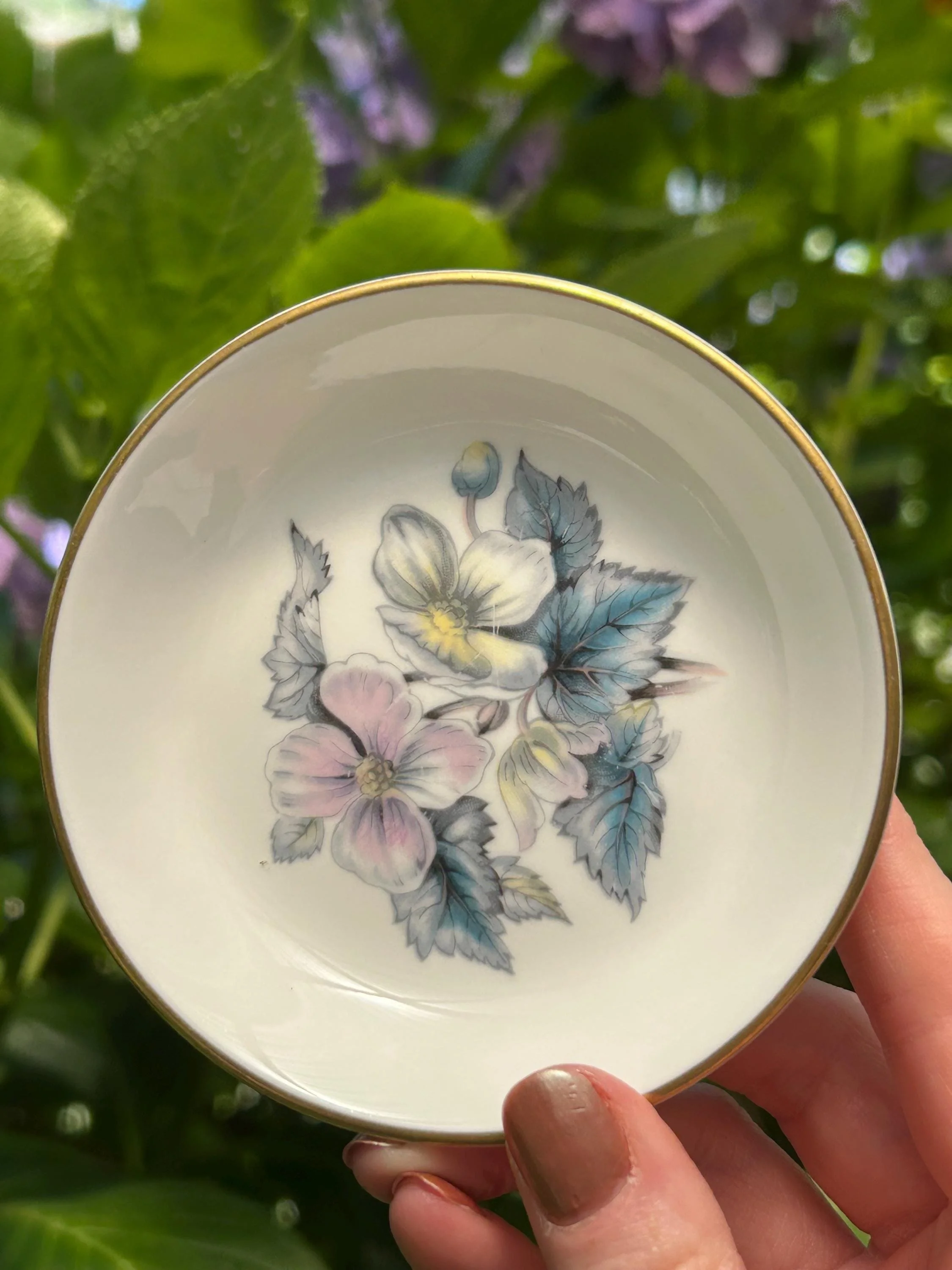 Dish held against green leaves, showcasing gold-trimmed edge and pattern clarity