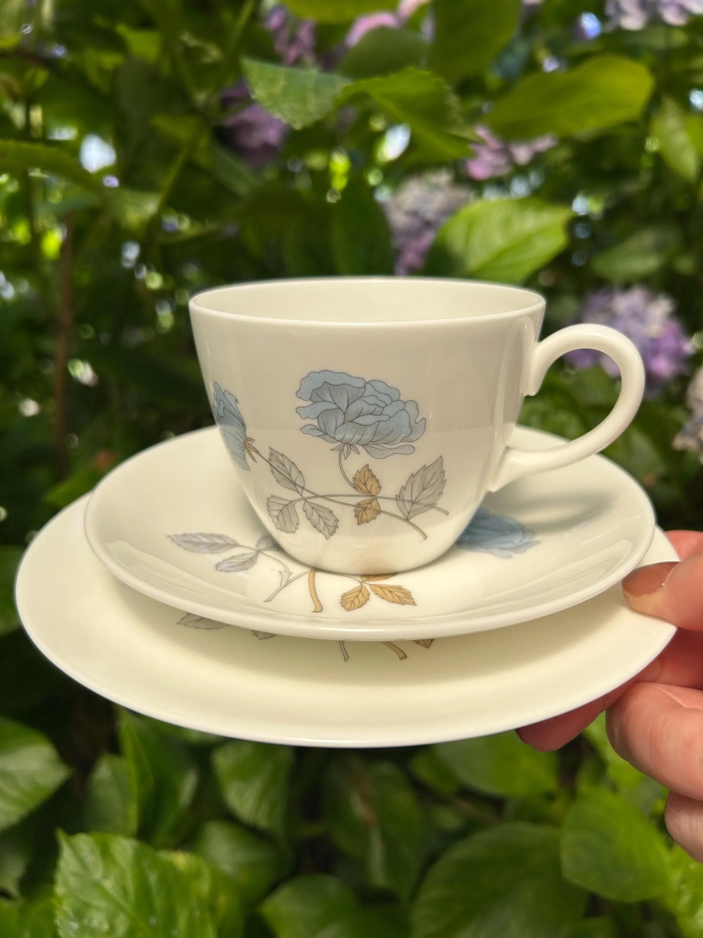 Wedgwood Ice Rose Trio Set – Teacup, Saucer and Side Plate | Vintage English Bone China