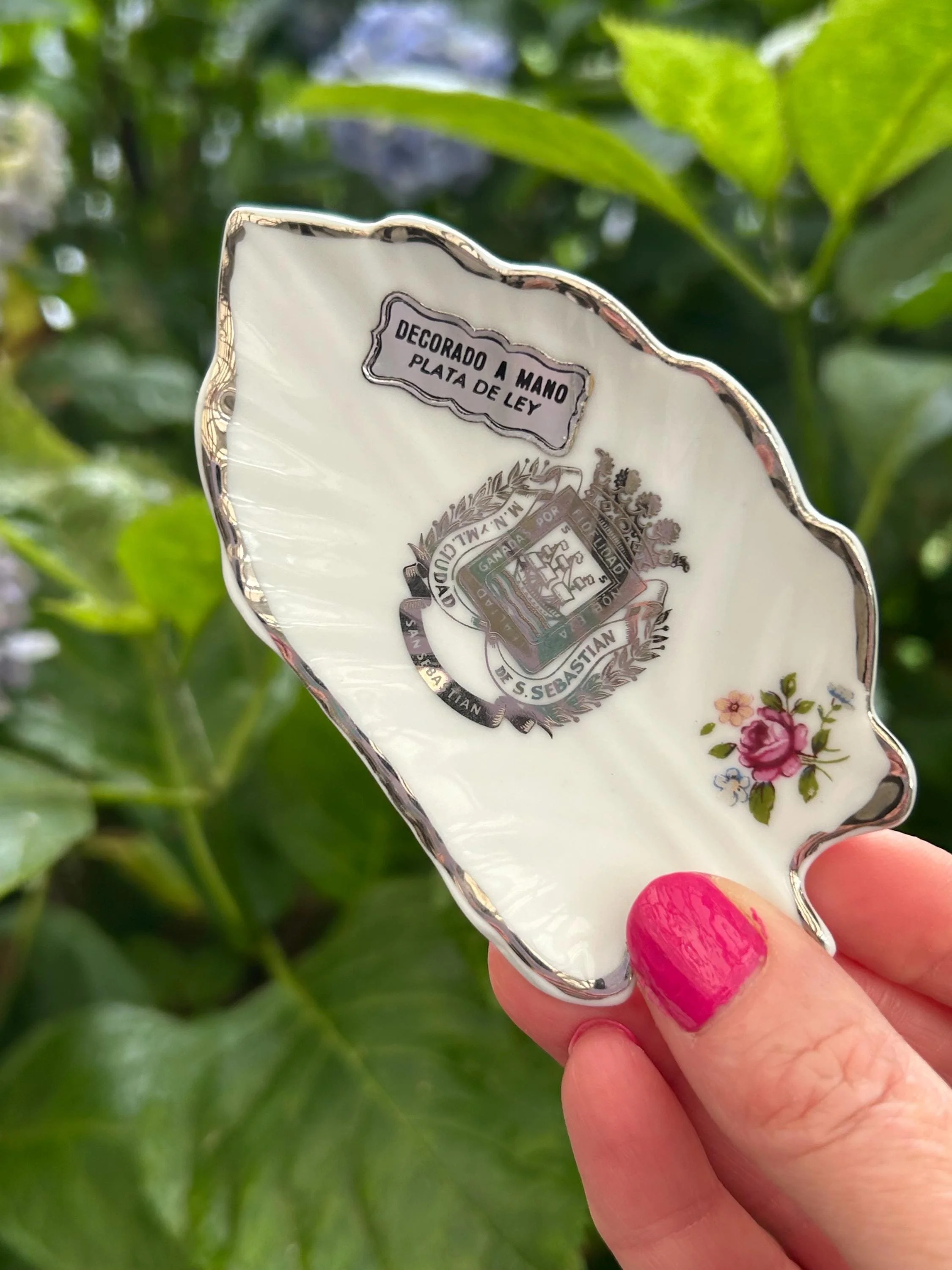 Hand holding the dish in natural light against green background
