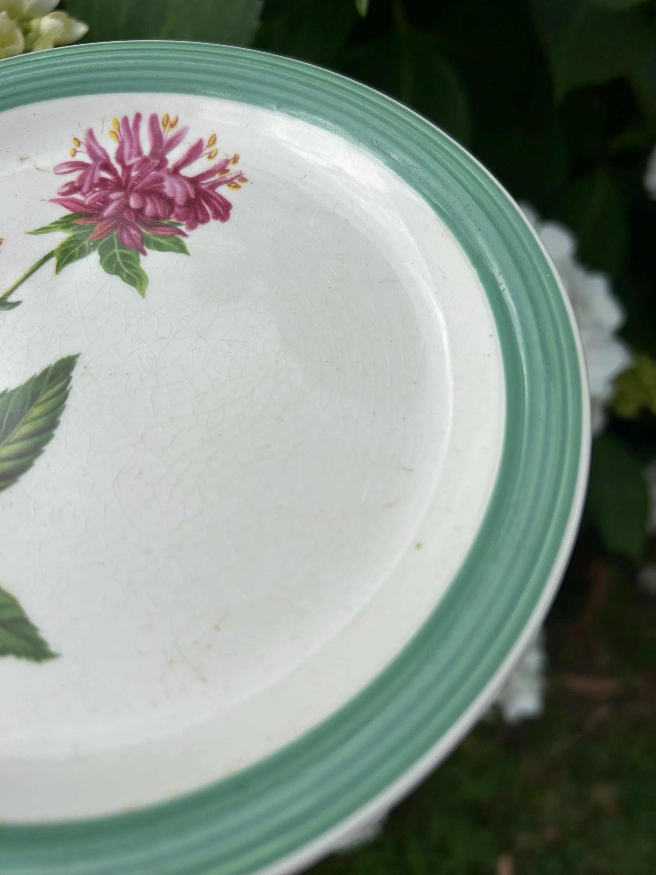 Close-up of the plate edge showing the floral design, green ribbed rim, and age-related surface wear