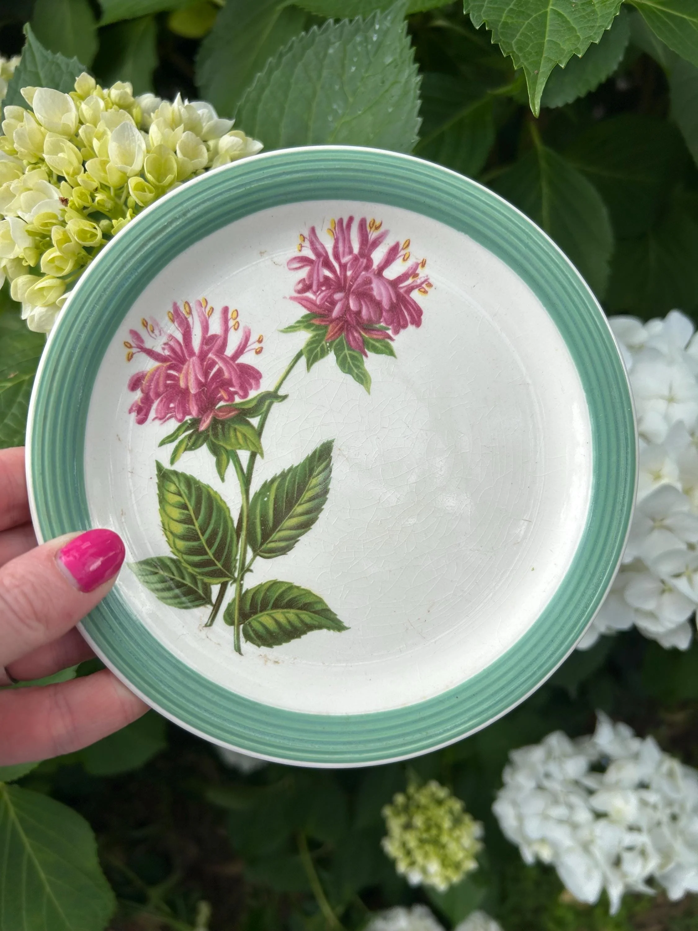 Hand-held view of the full plate against a garden background, showing the complete decorative design