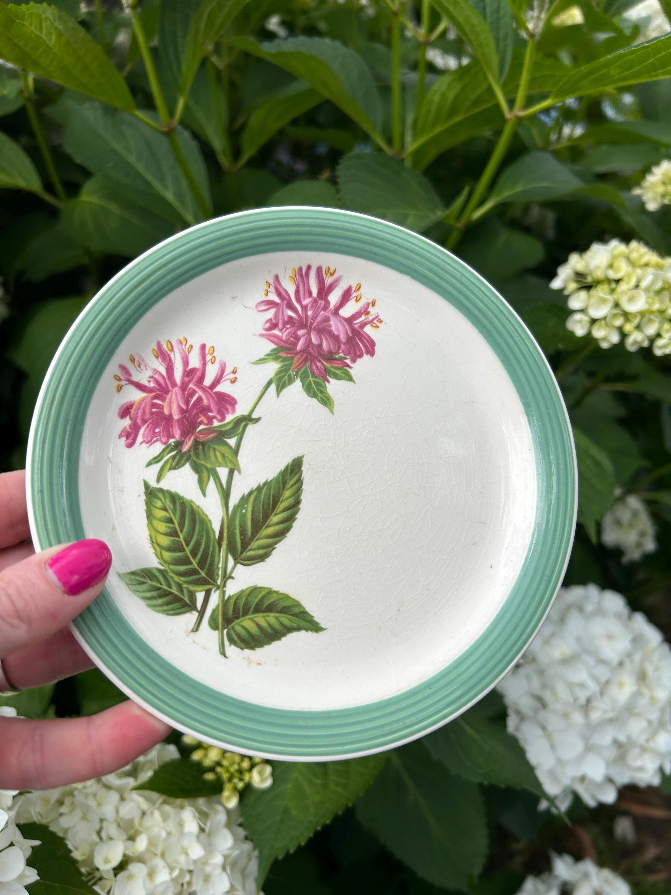 Front view of the Ringwood Ware plate held in hand, highlighting the floral motif and mid-century English pottery style