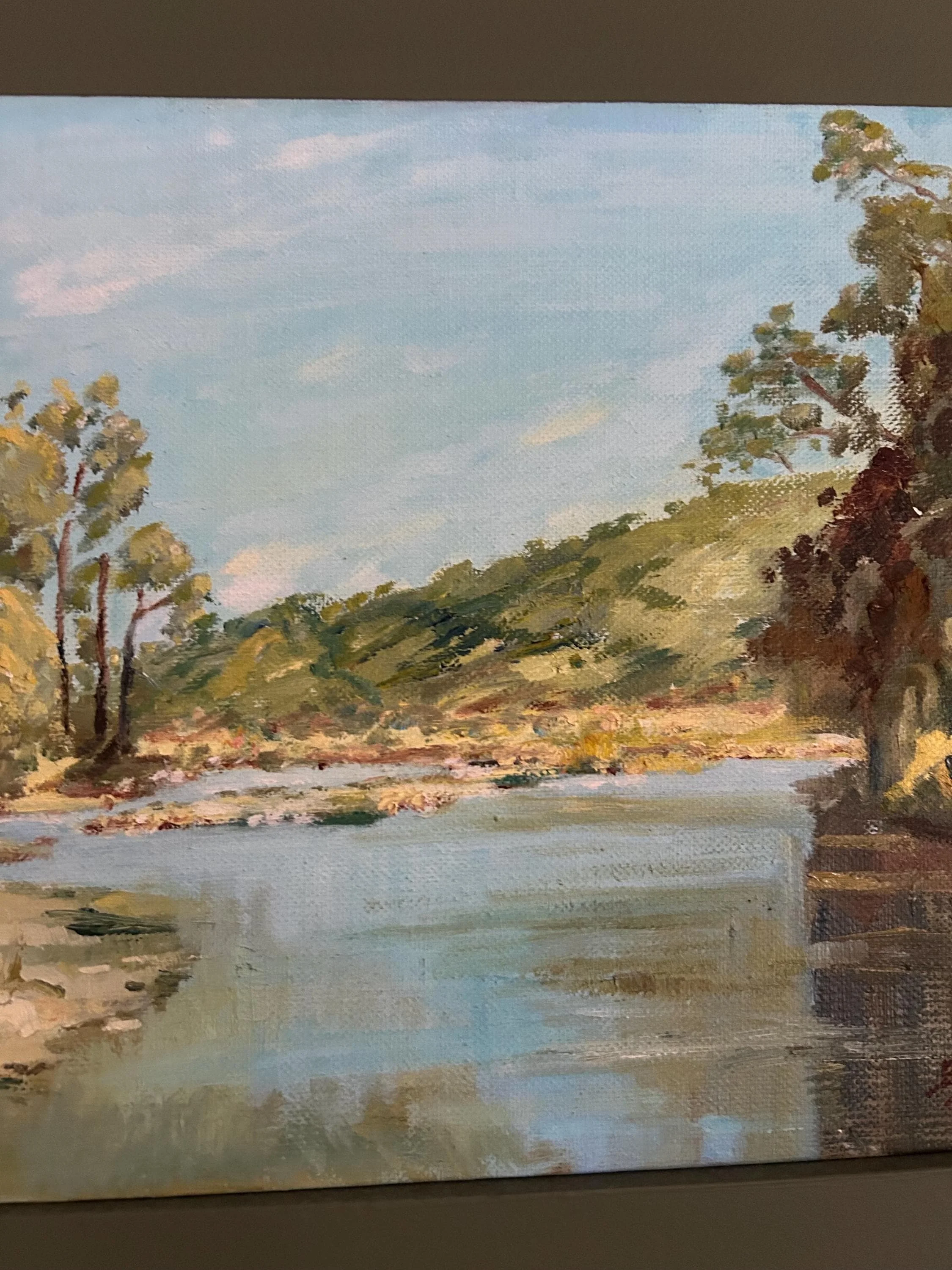 Zoomed view of hillside and trees