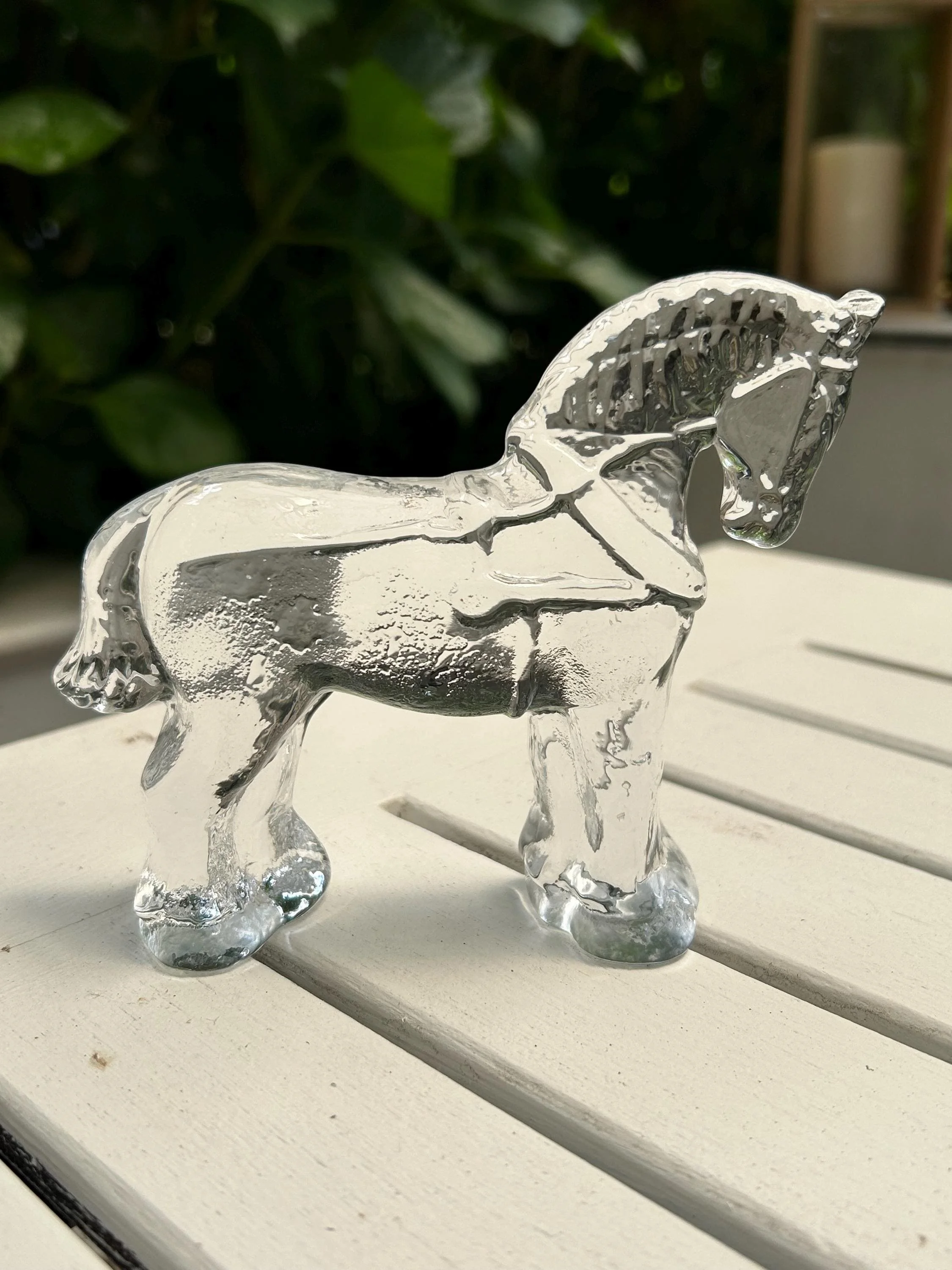 Alternate side profile with background foliage