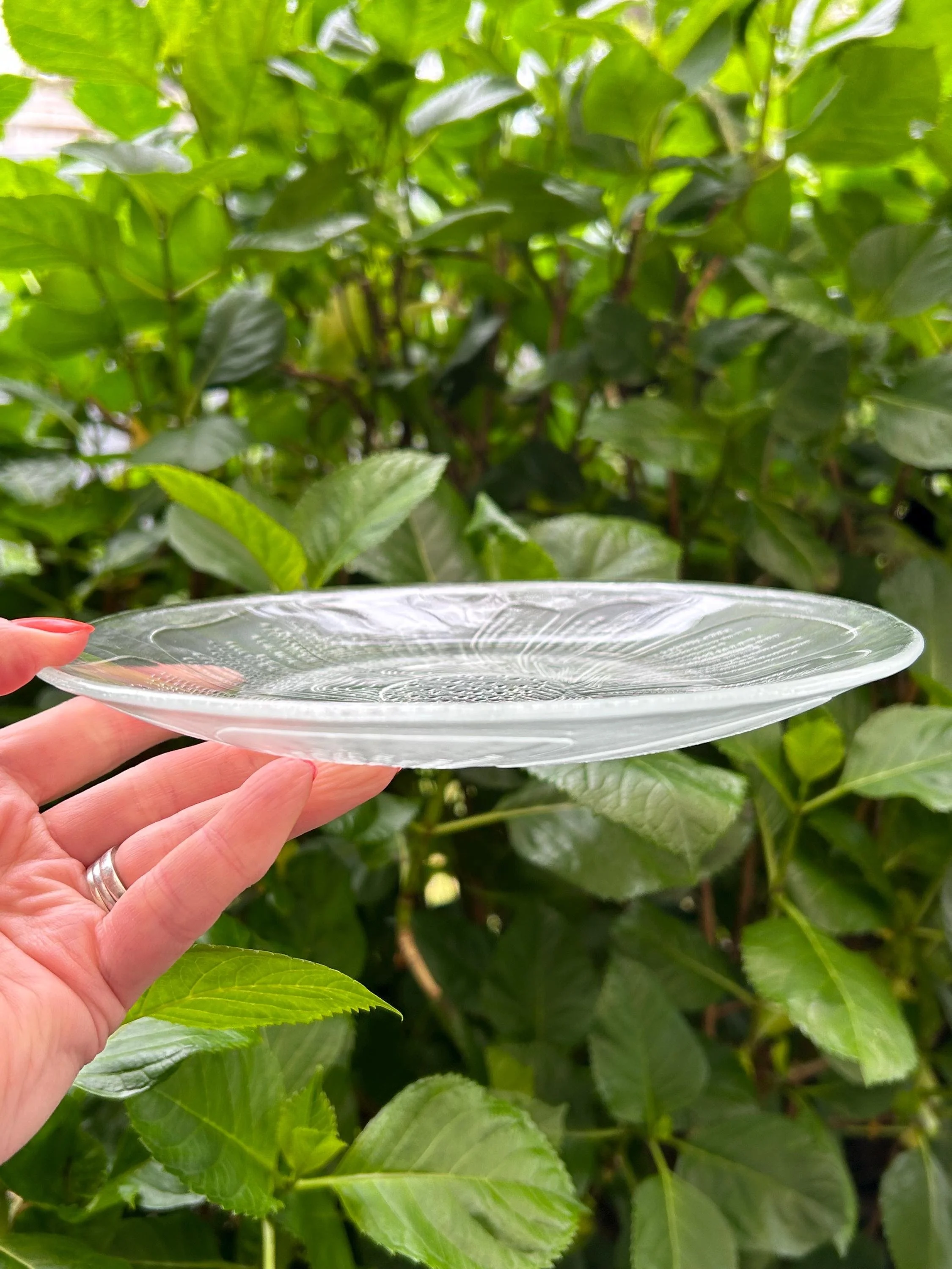 Profile view of Duralex plate showing low height and subtle rim curve