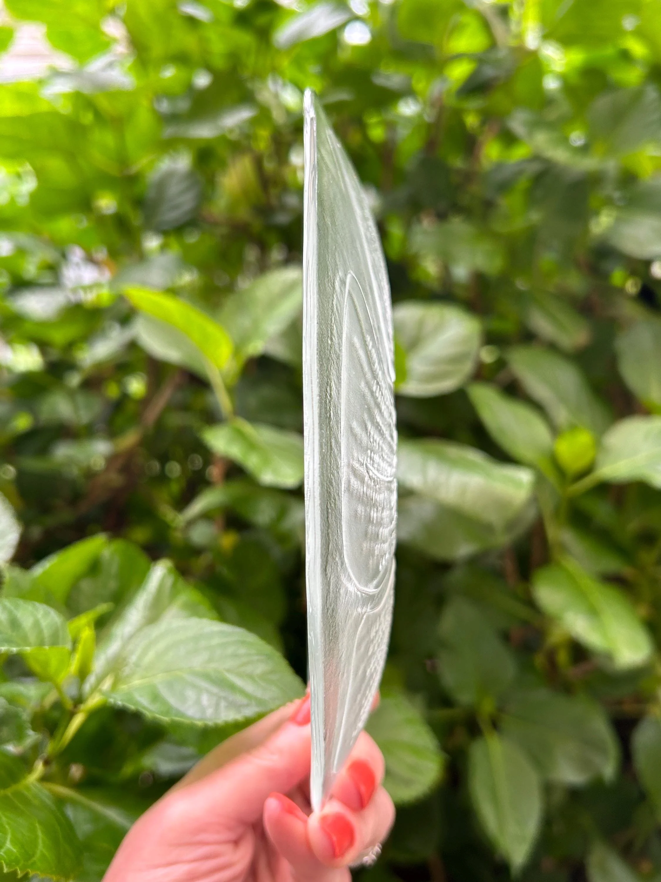 Vertical edge view of the Duralex Sainson plate against foliage background