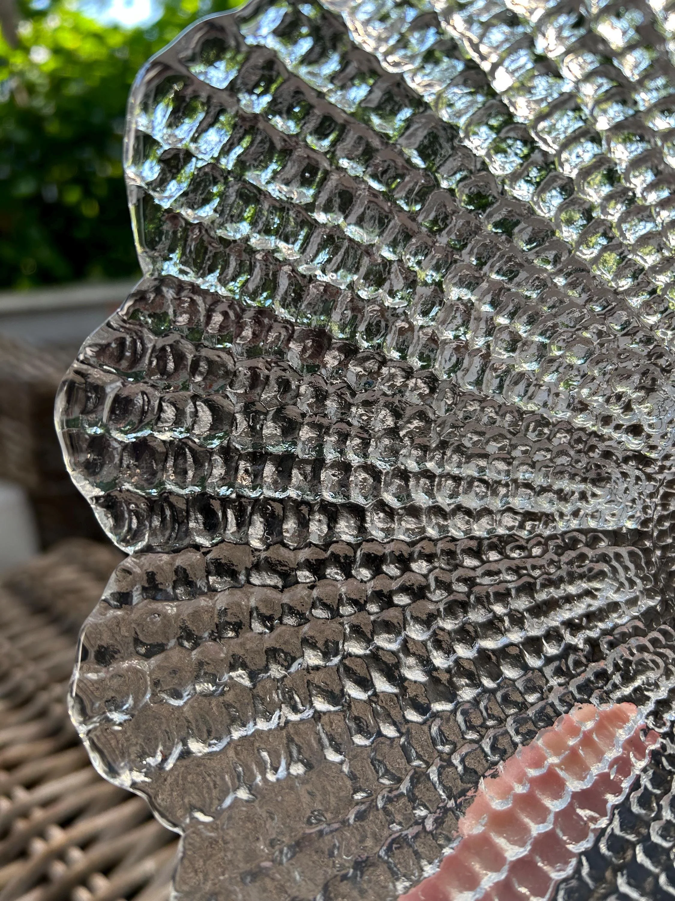 Close-up of scalloped petal detail and textured LOTOS surface