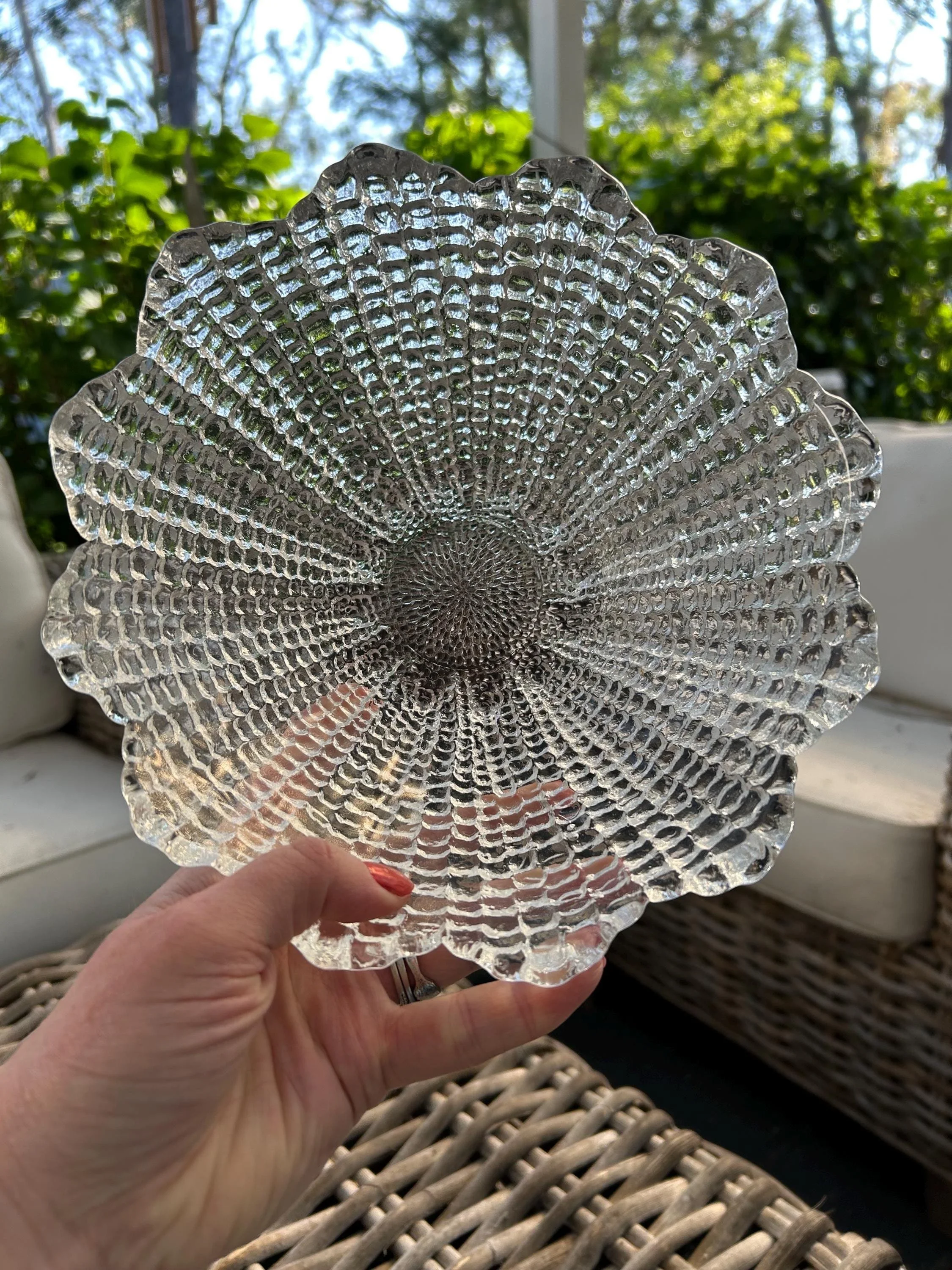 Overhead view displaying flower-like symmetry and raised texture