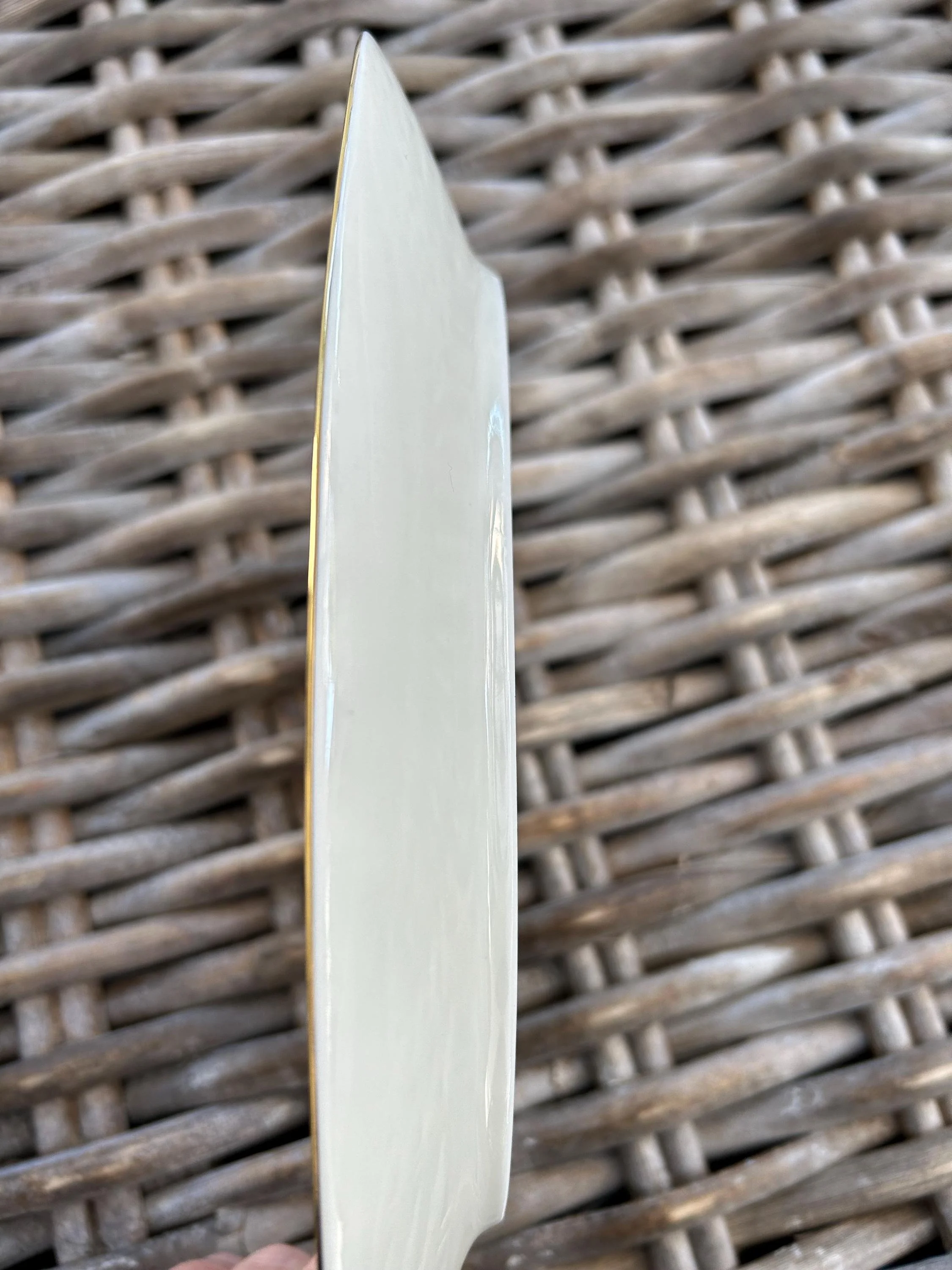 Edge view showing plate thickness and gold rim.